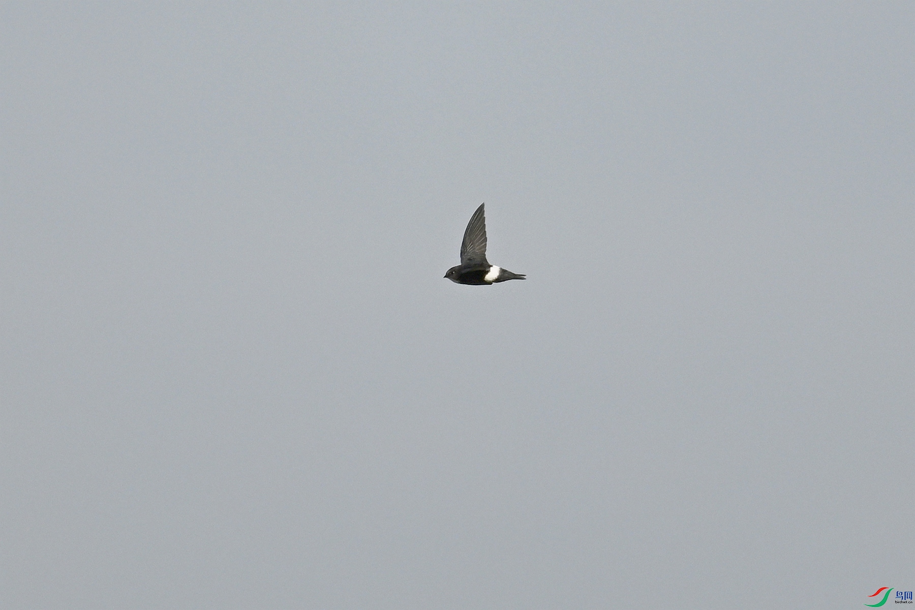DSC_8032.JPG