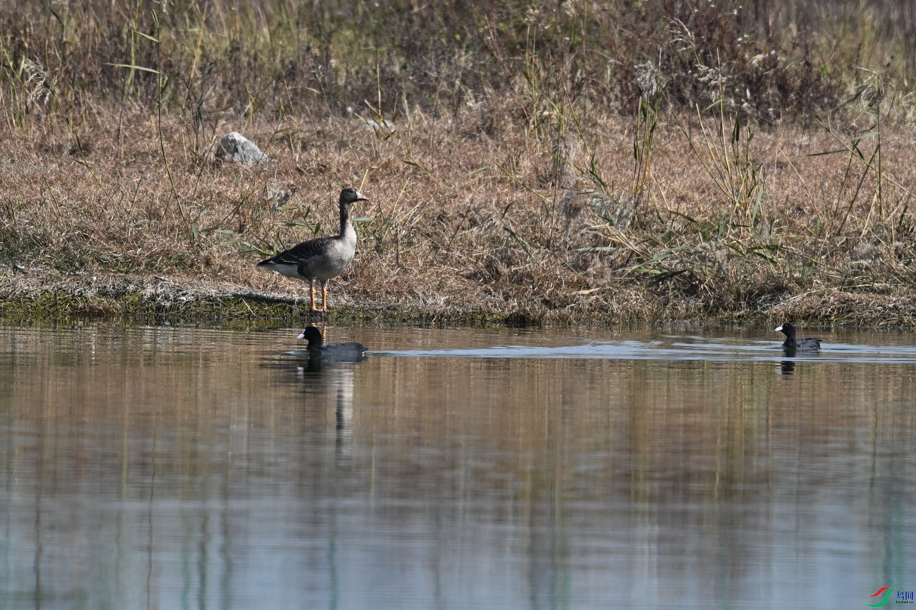 DSC_8036.JPG