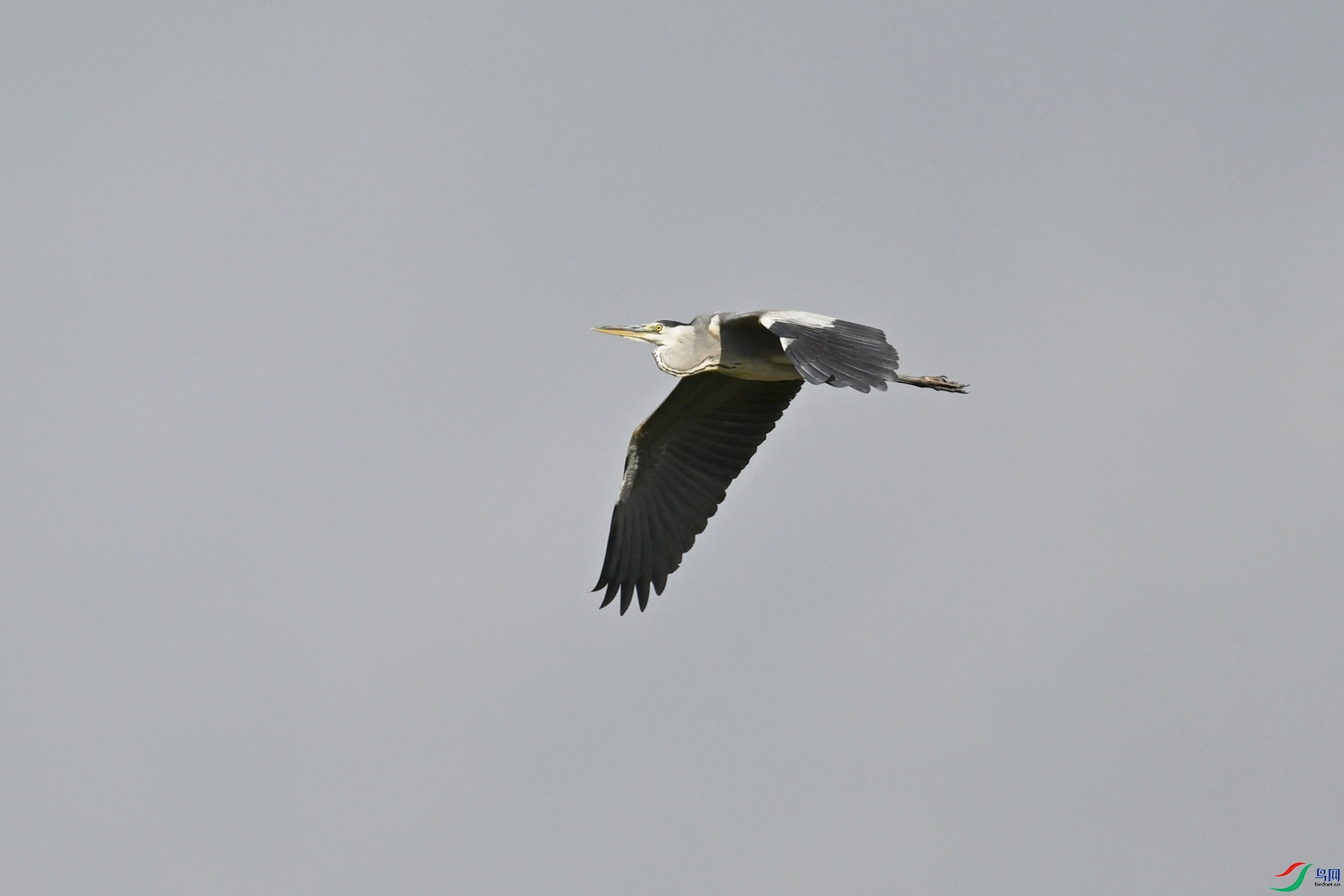 DSC_8039.JPG