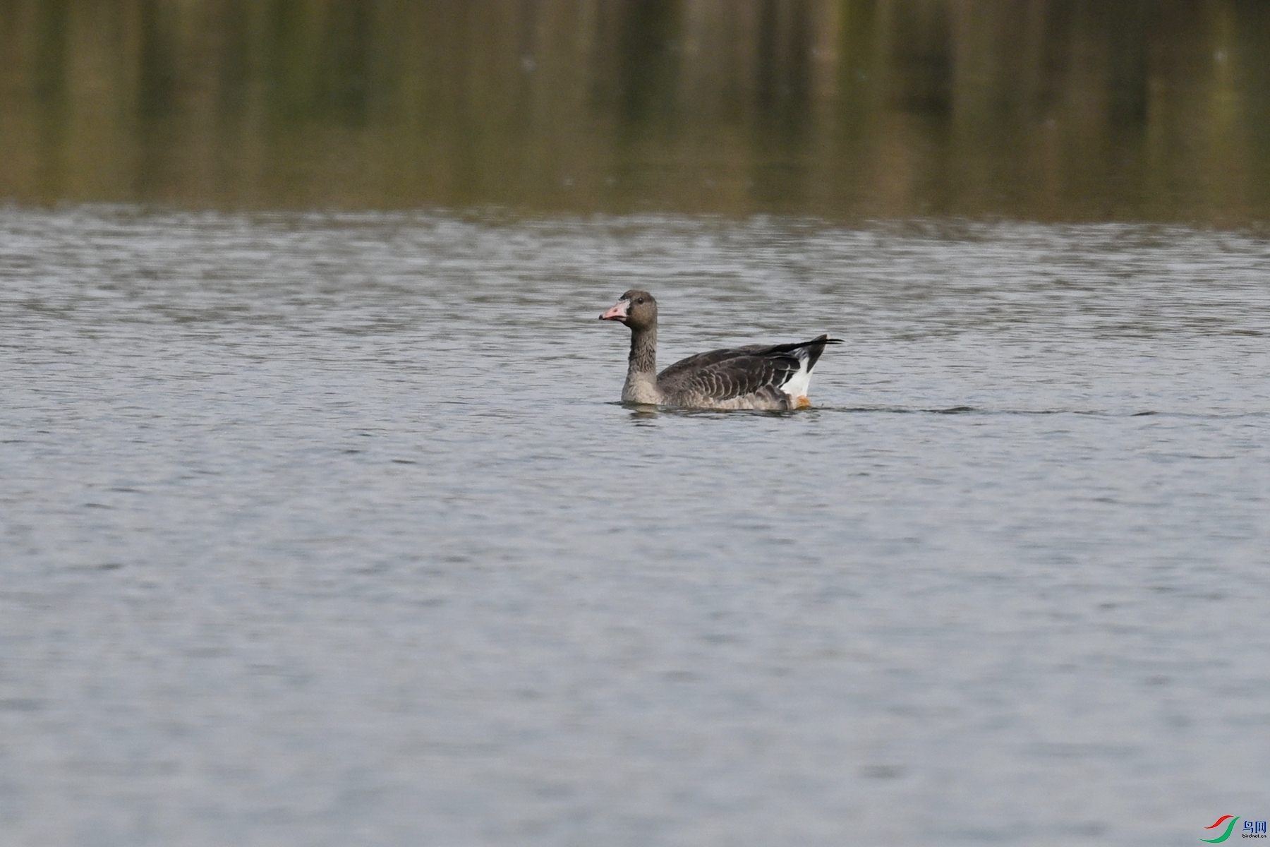DSC_8055.JPG
