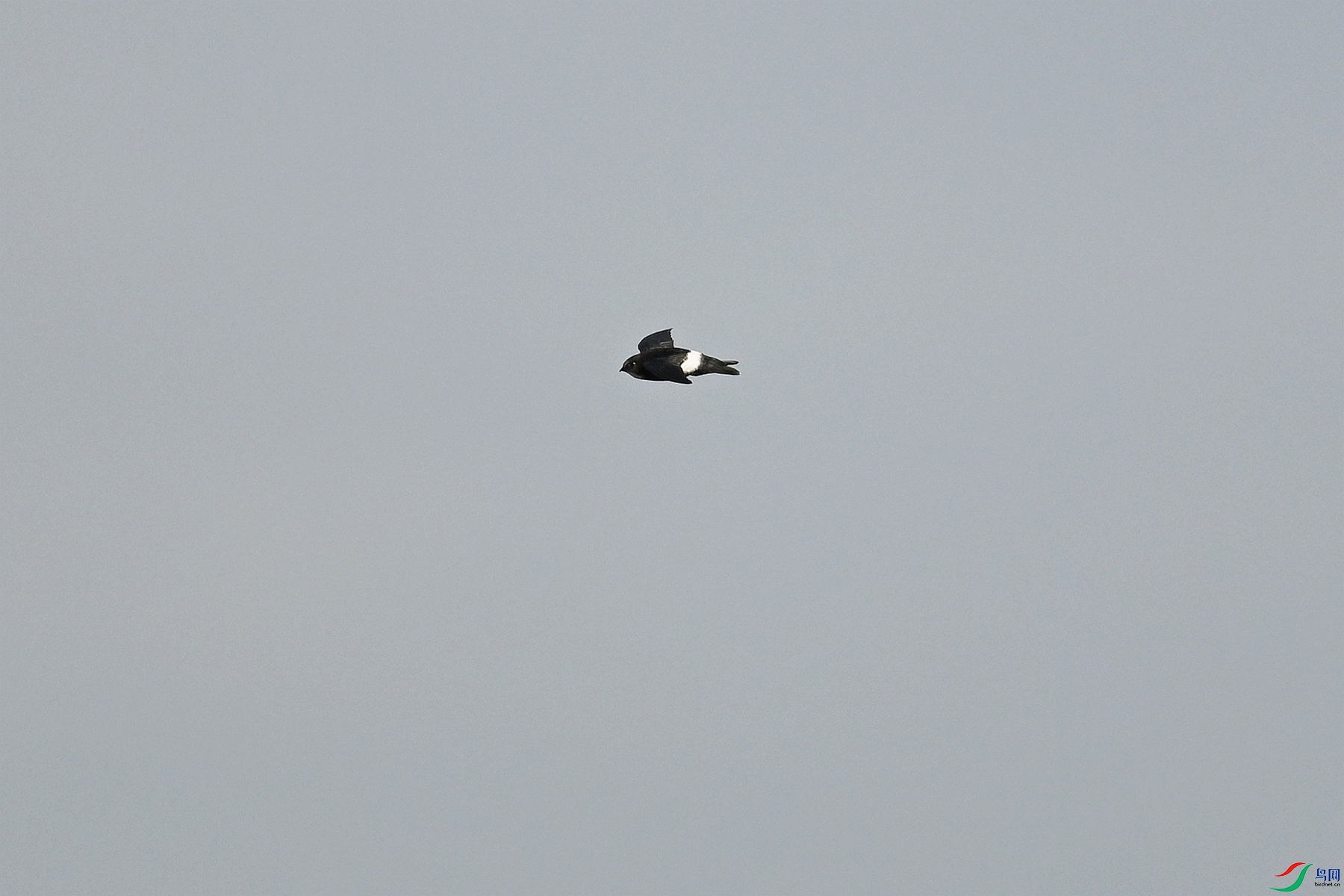DSC_8034.JPG