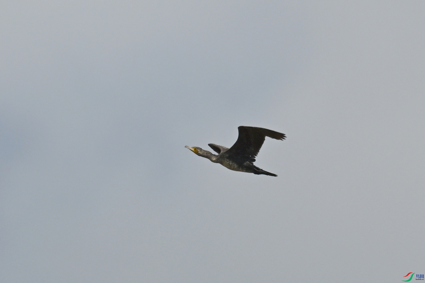 DSC_8040.JPG