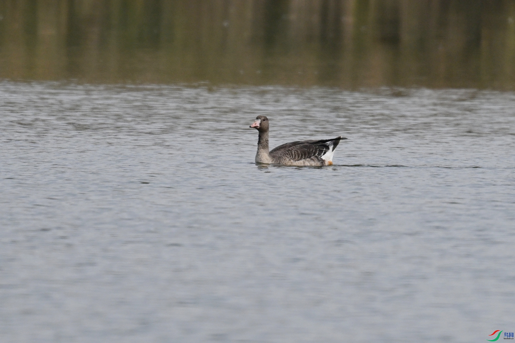 DSC_8057.JPG