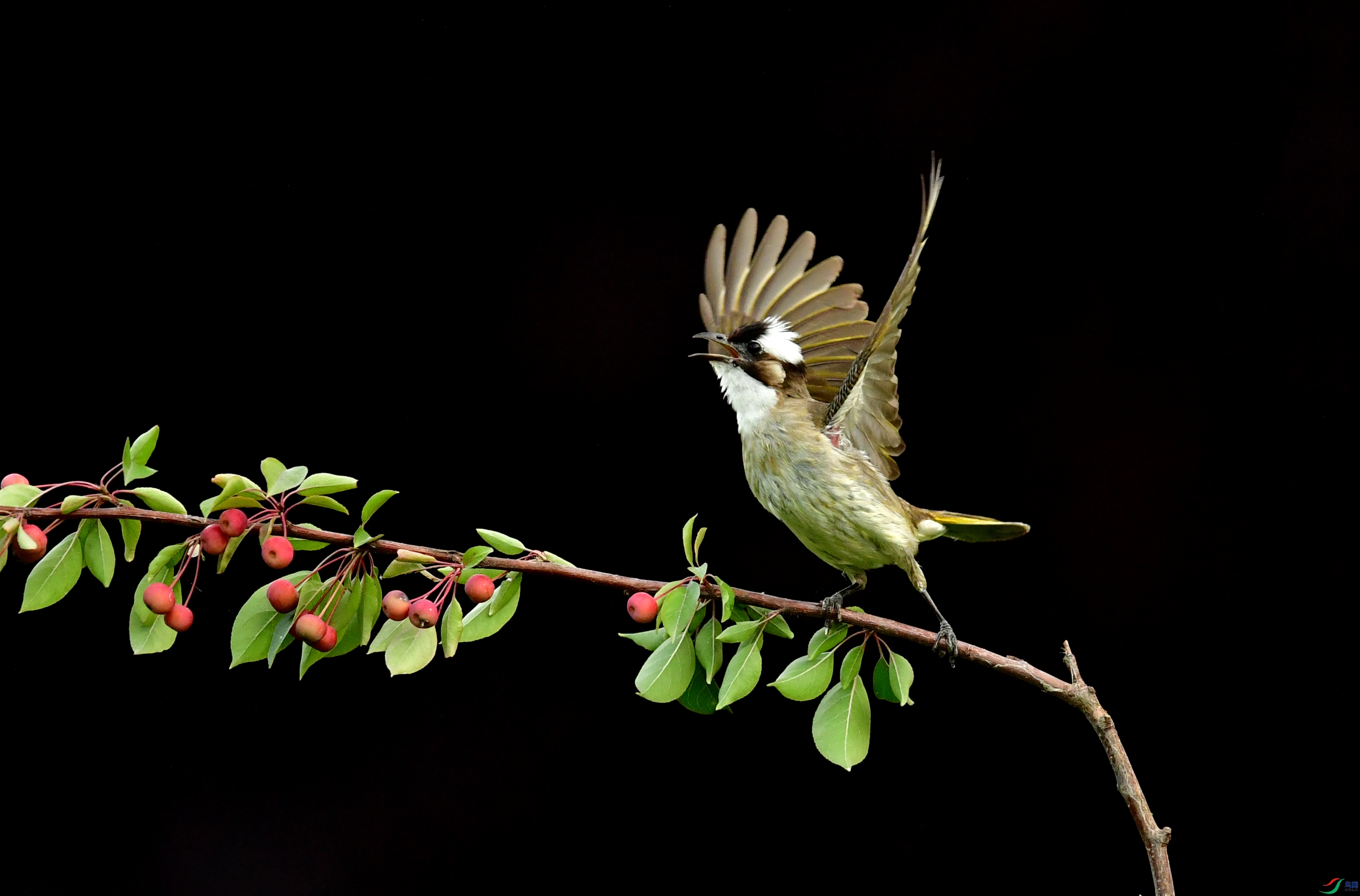 WZL_4897_����.jpg