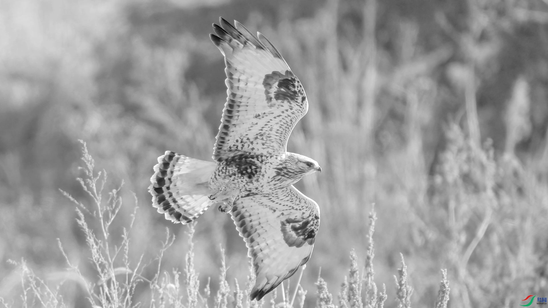 _DSC7502 ����.jpg