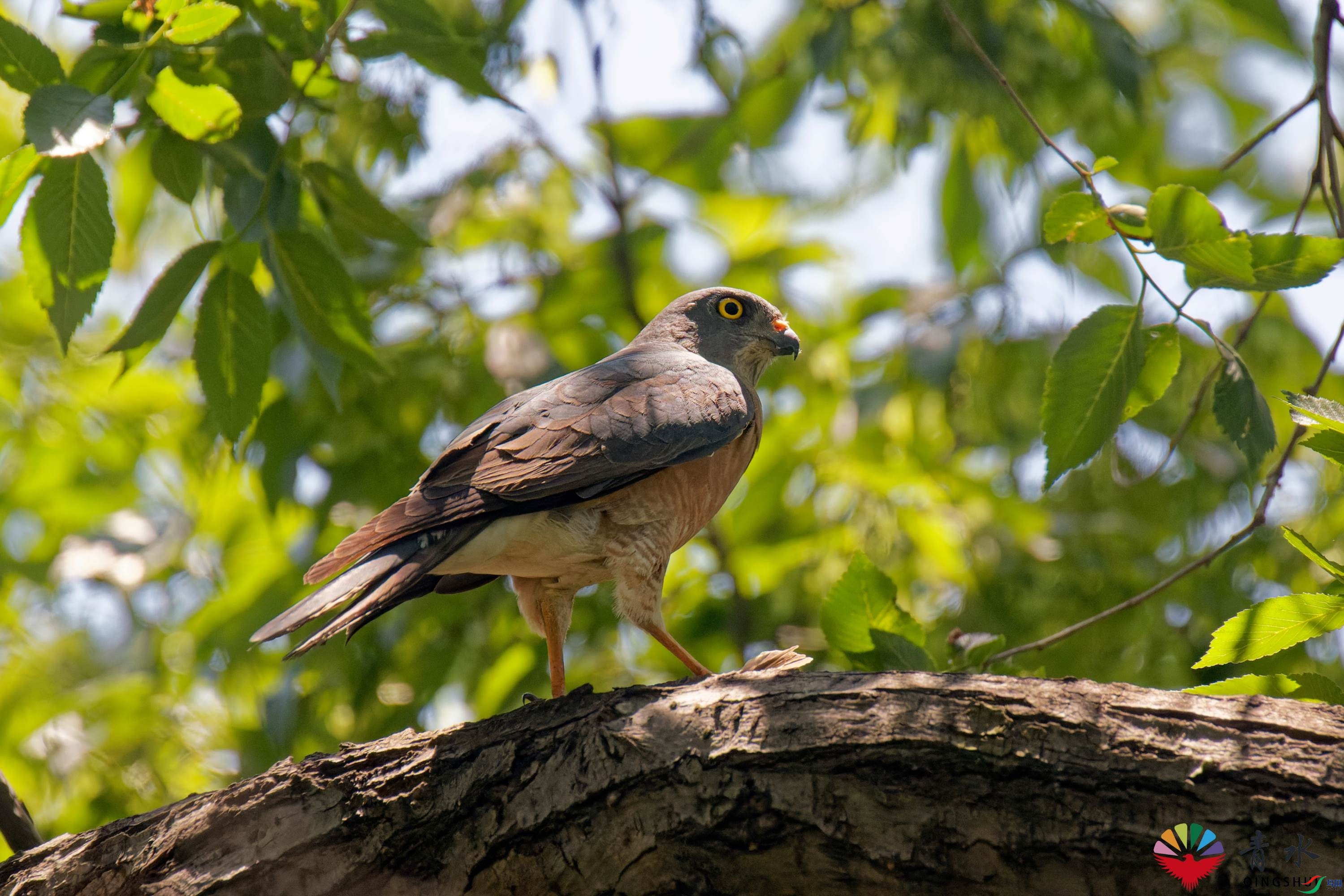 IMG_1084_DxO.jpg