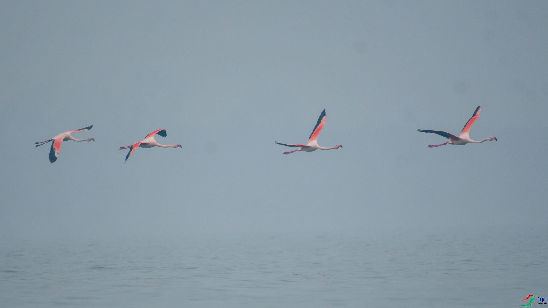 _DSC3580.jpg