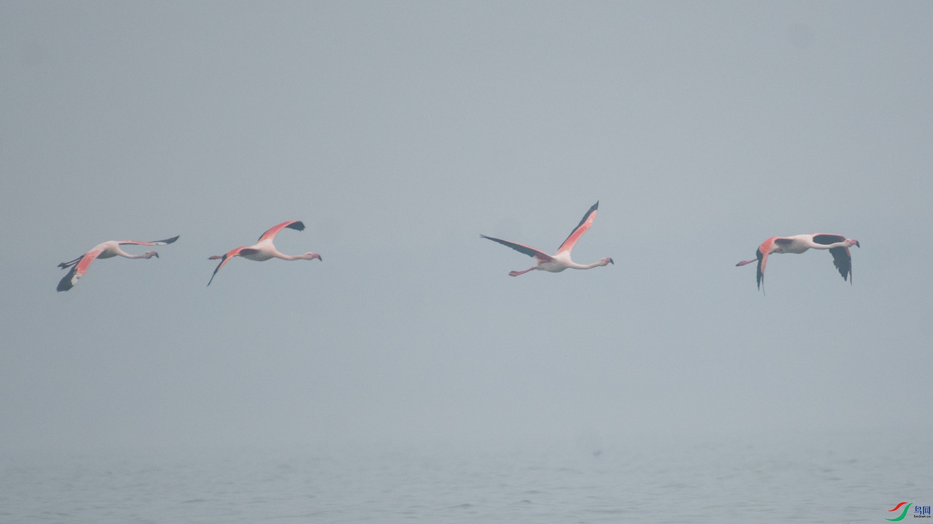_DSC3583.jpg