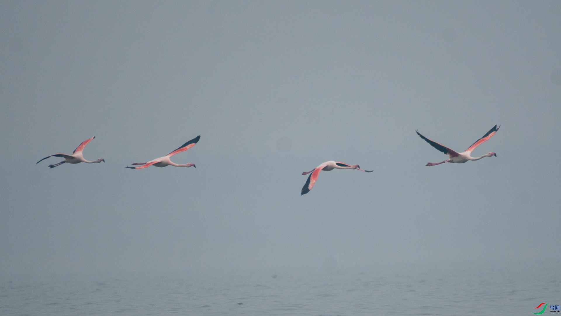 _DSC3584.jpg