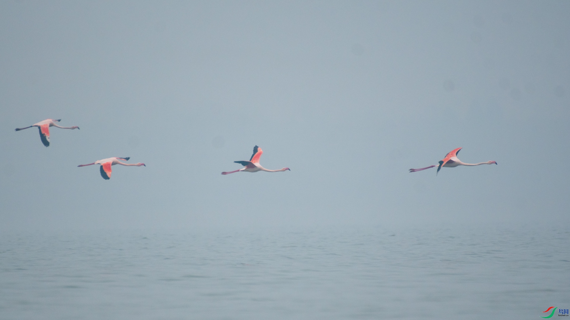 _DSC3568.jpg