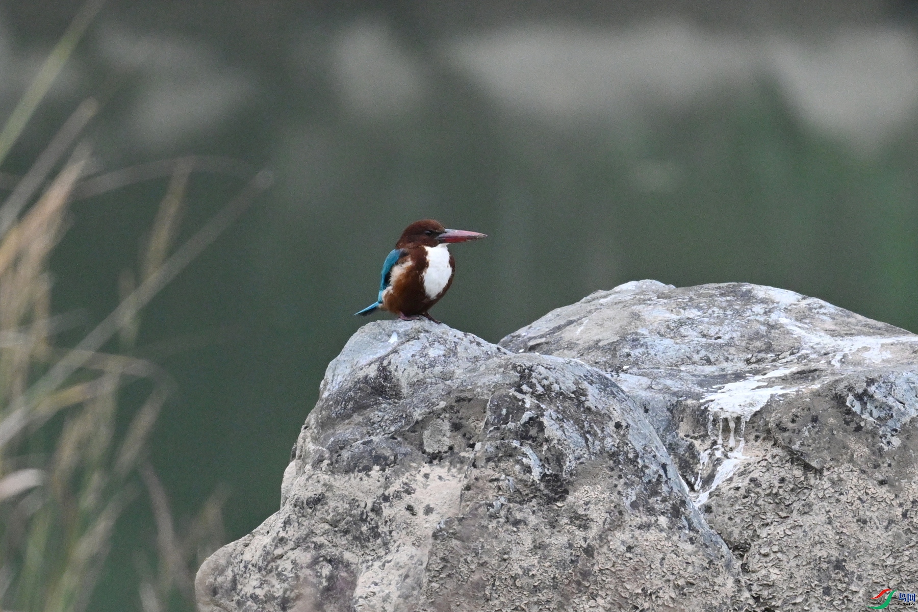 DSC_6784.JPG
