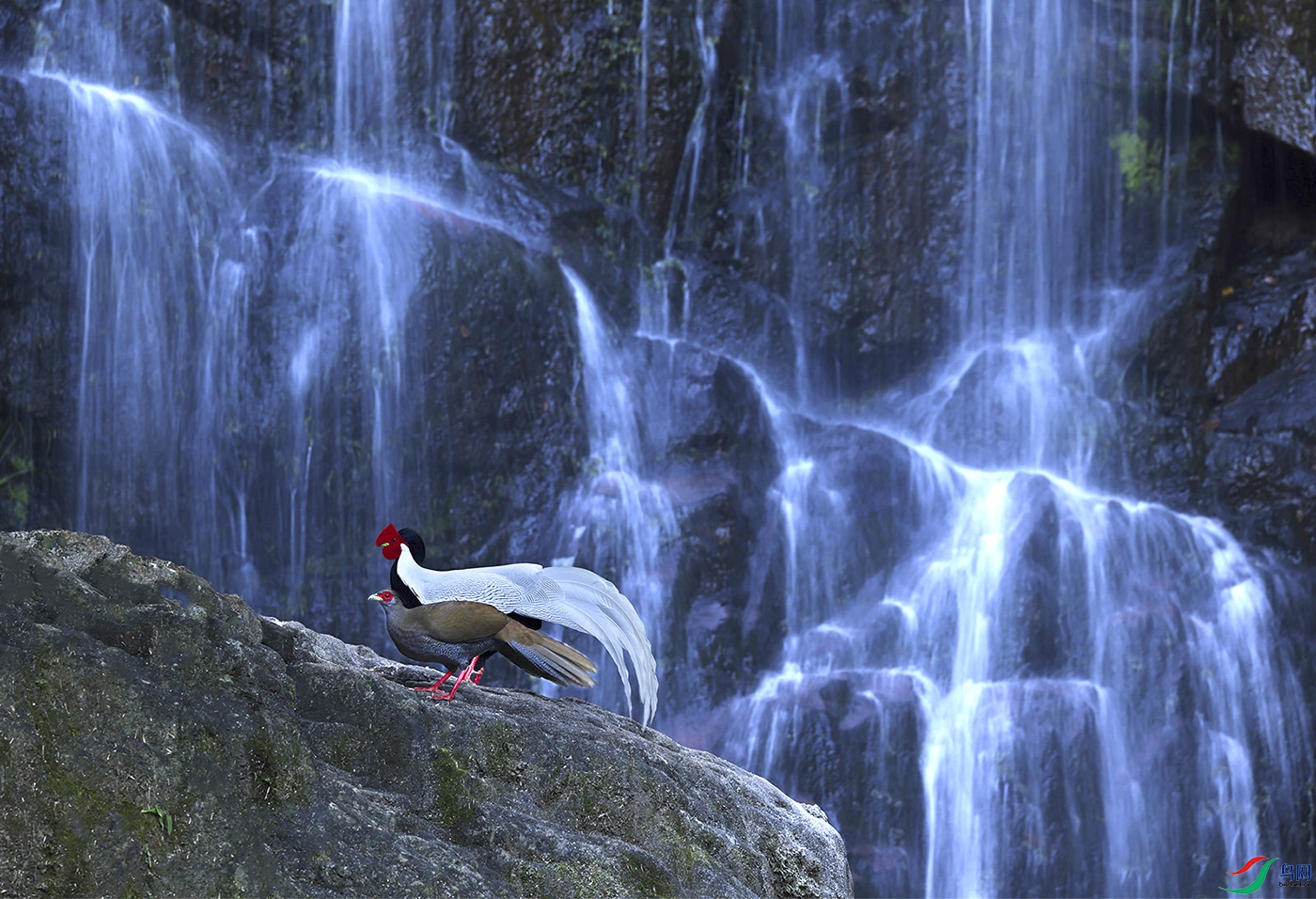 ����ɽ ��ˮ ֪����.jpg