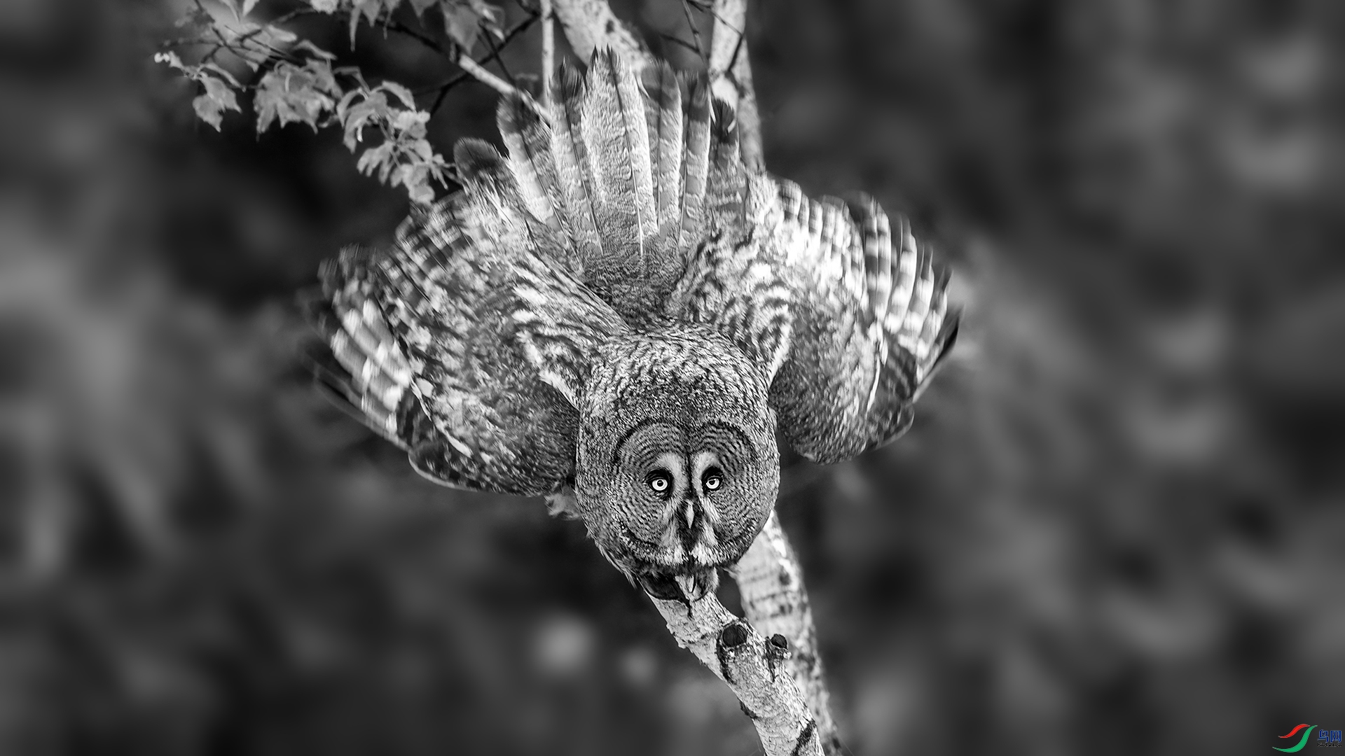 �����^0191-1_����.jpg