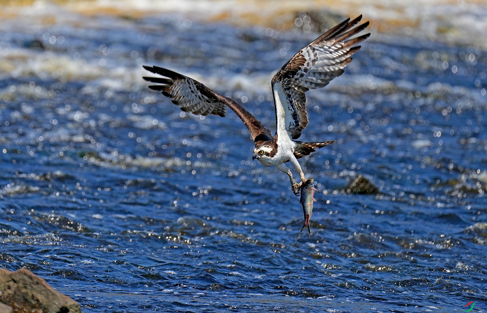 DSC02092--.jpg