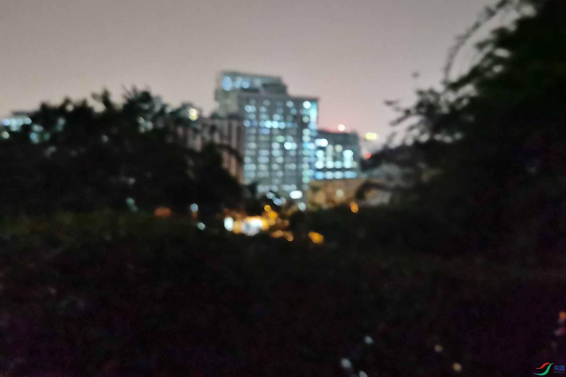 IMG_20250409_191054.jpg