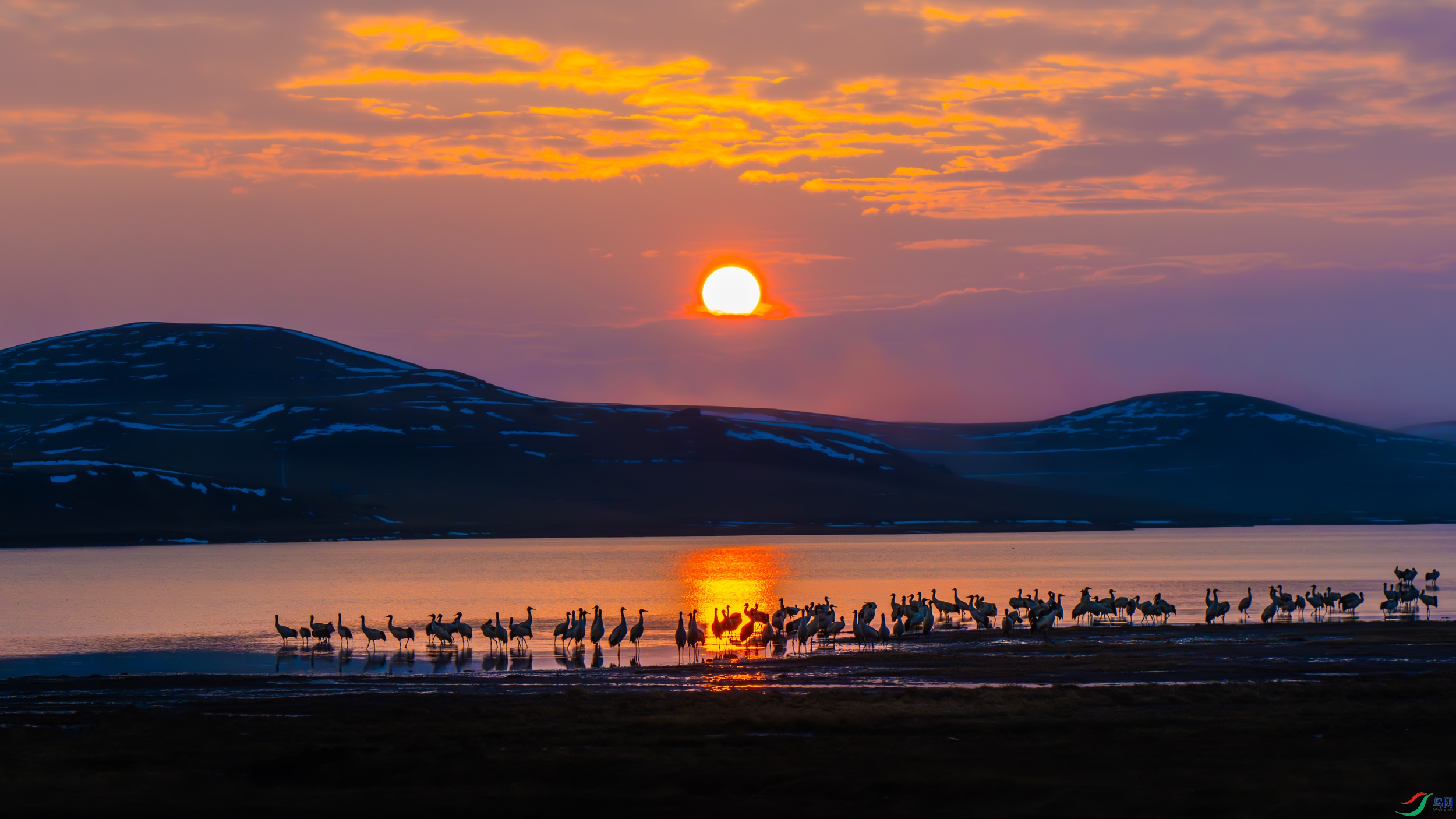 DSC_0256-����ǿ-NR-1.jpg