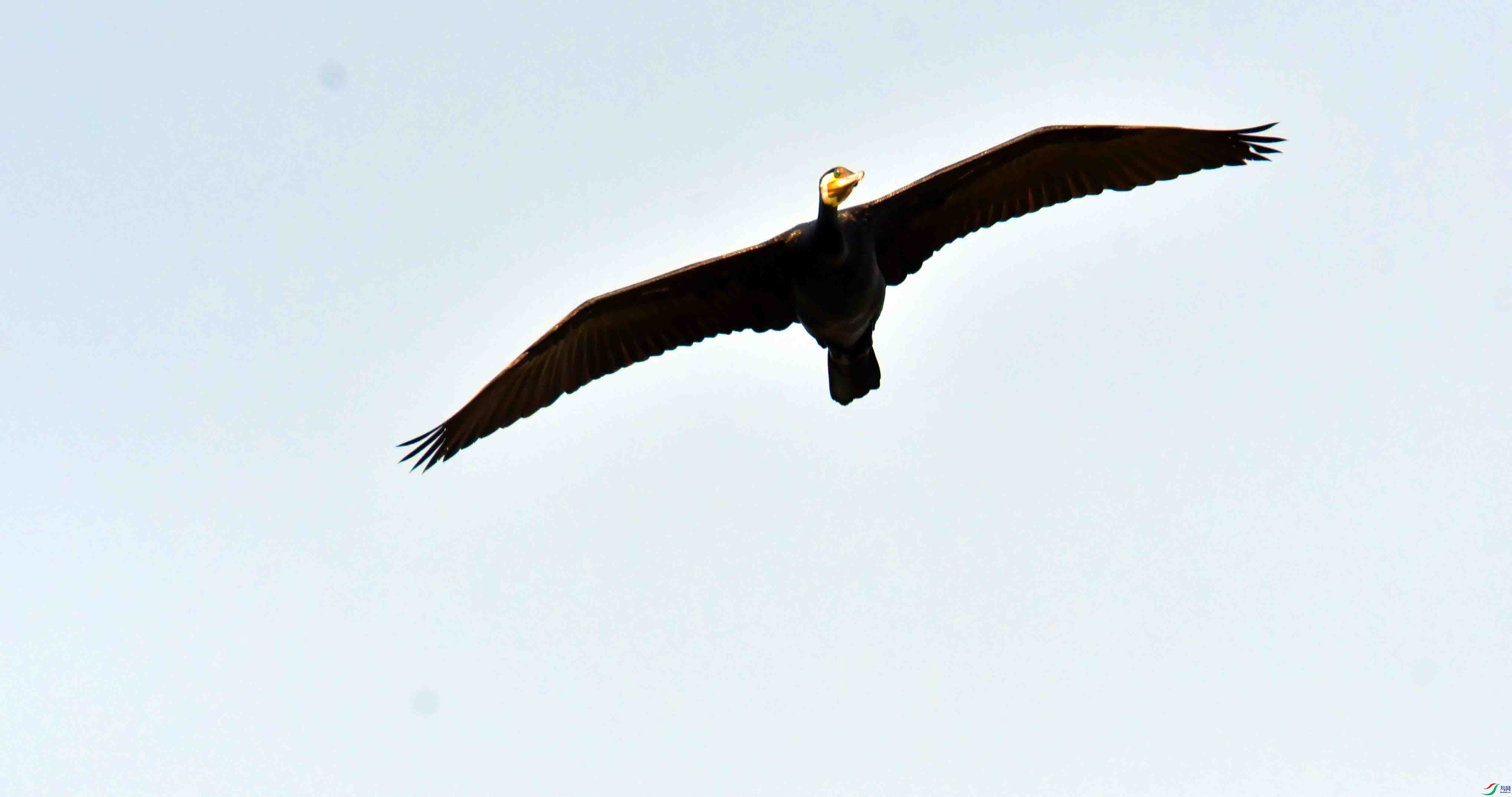 DSC_1284.JPG