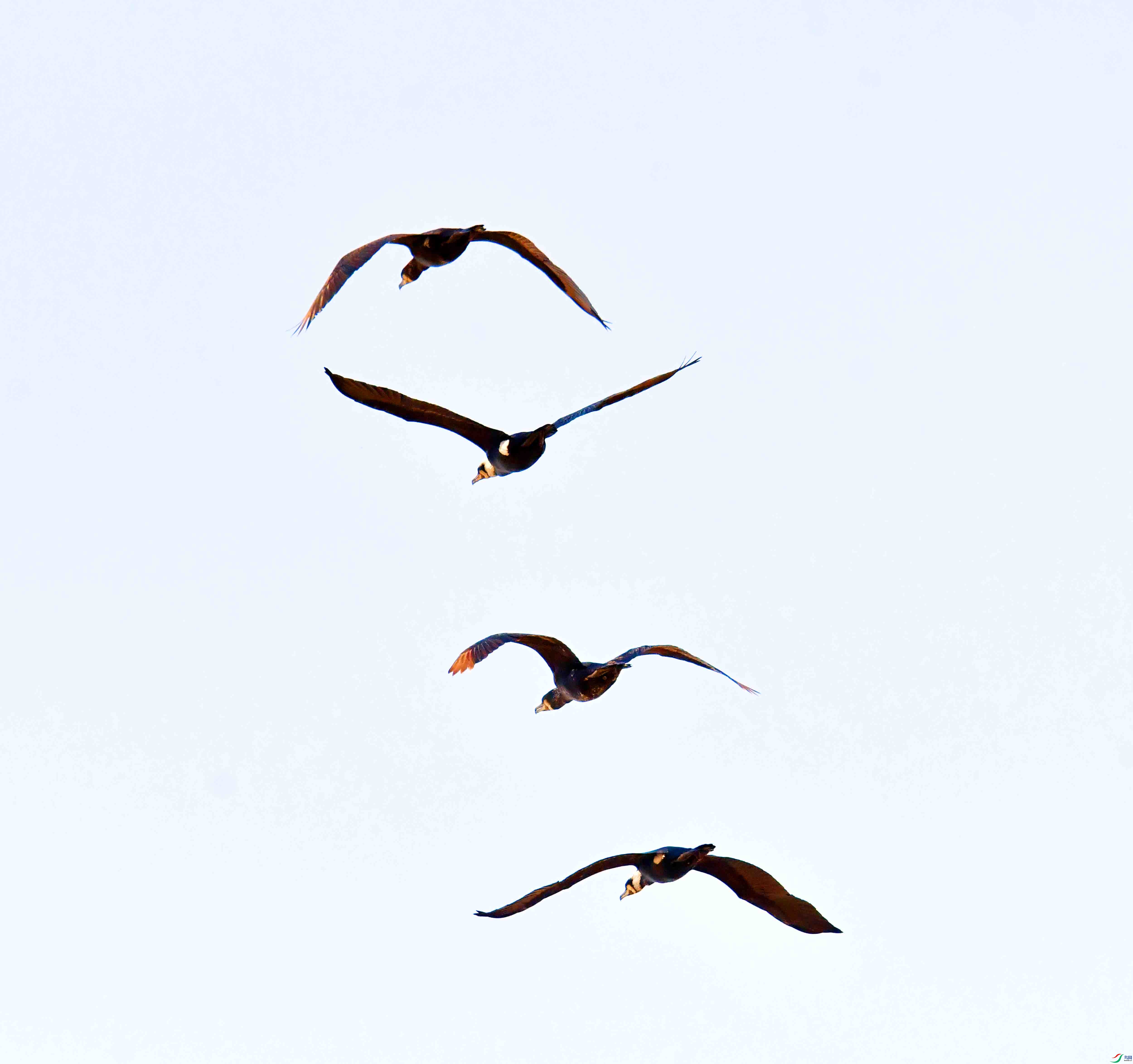 DSC_1539.JPG