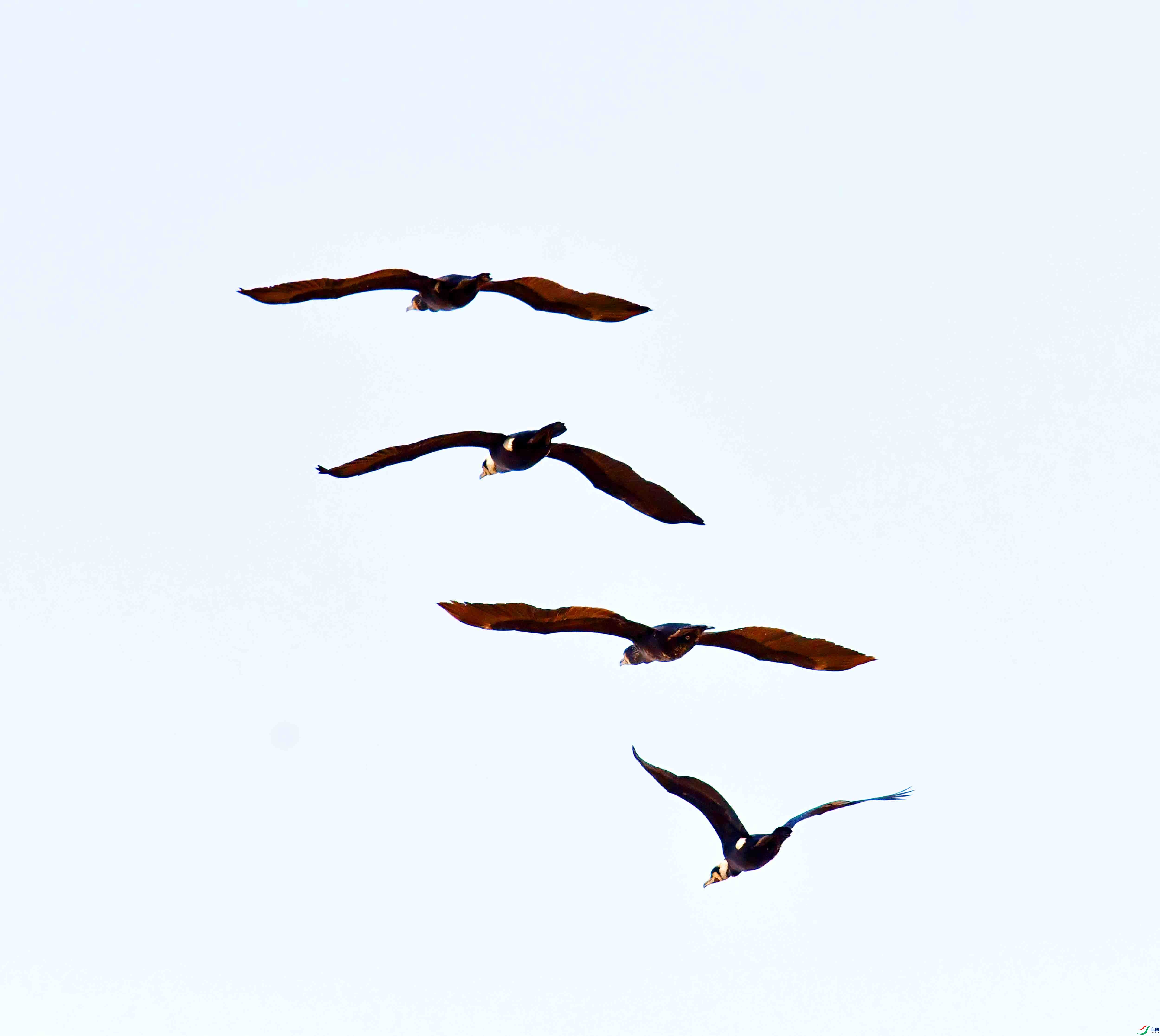 DSC_1543.JPG