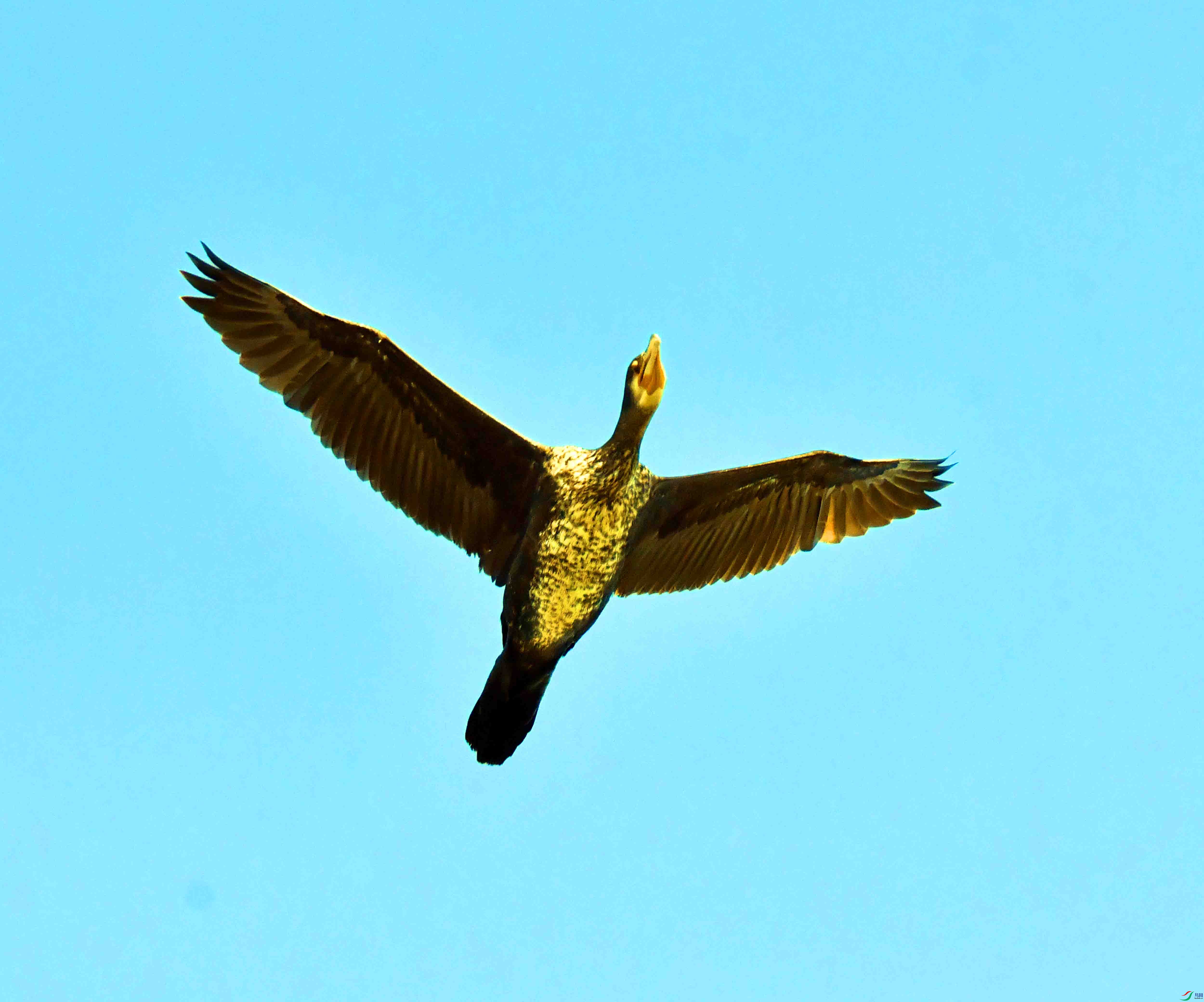 DSC_1567.JPG