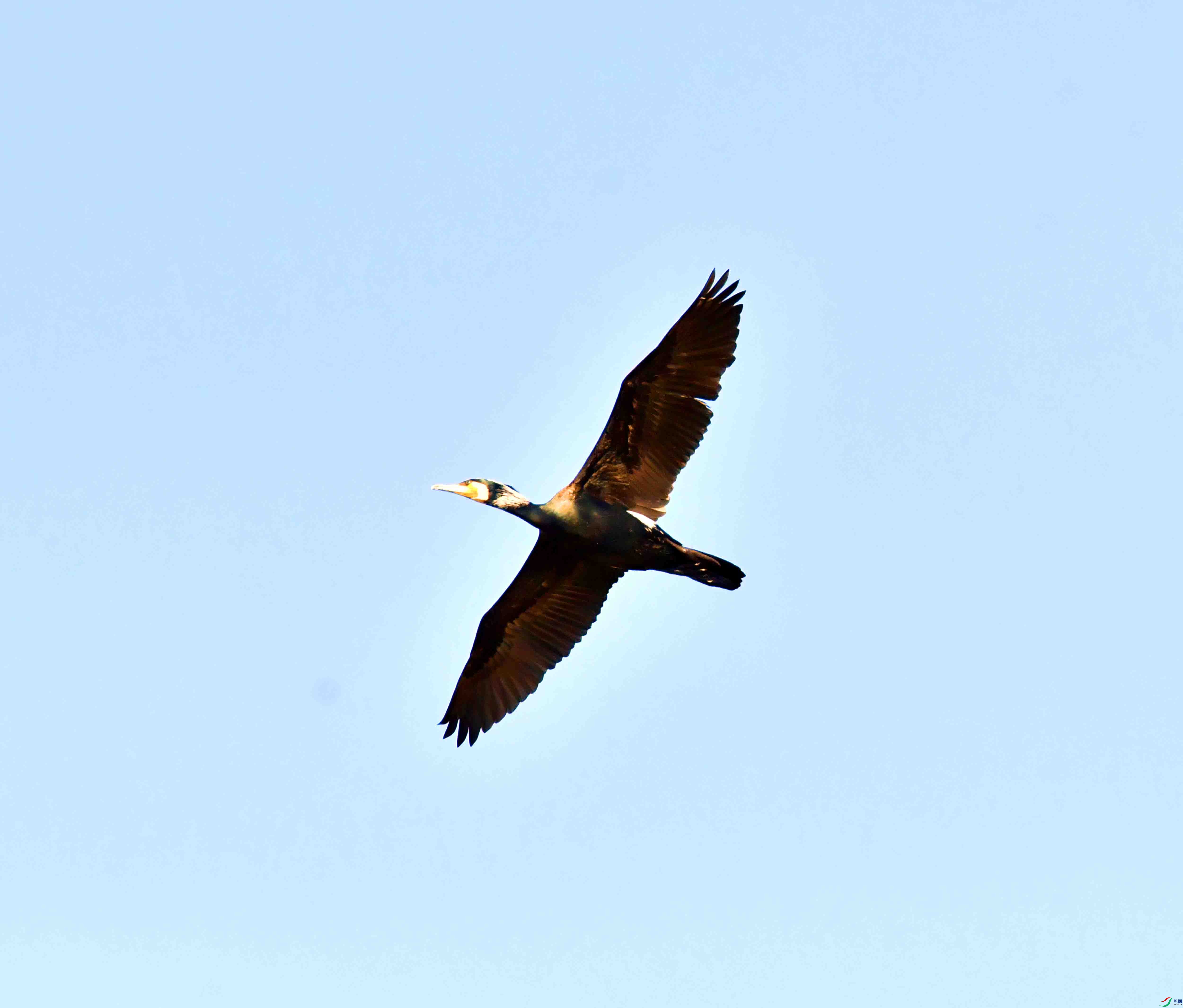 DSC_1578.JPG