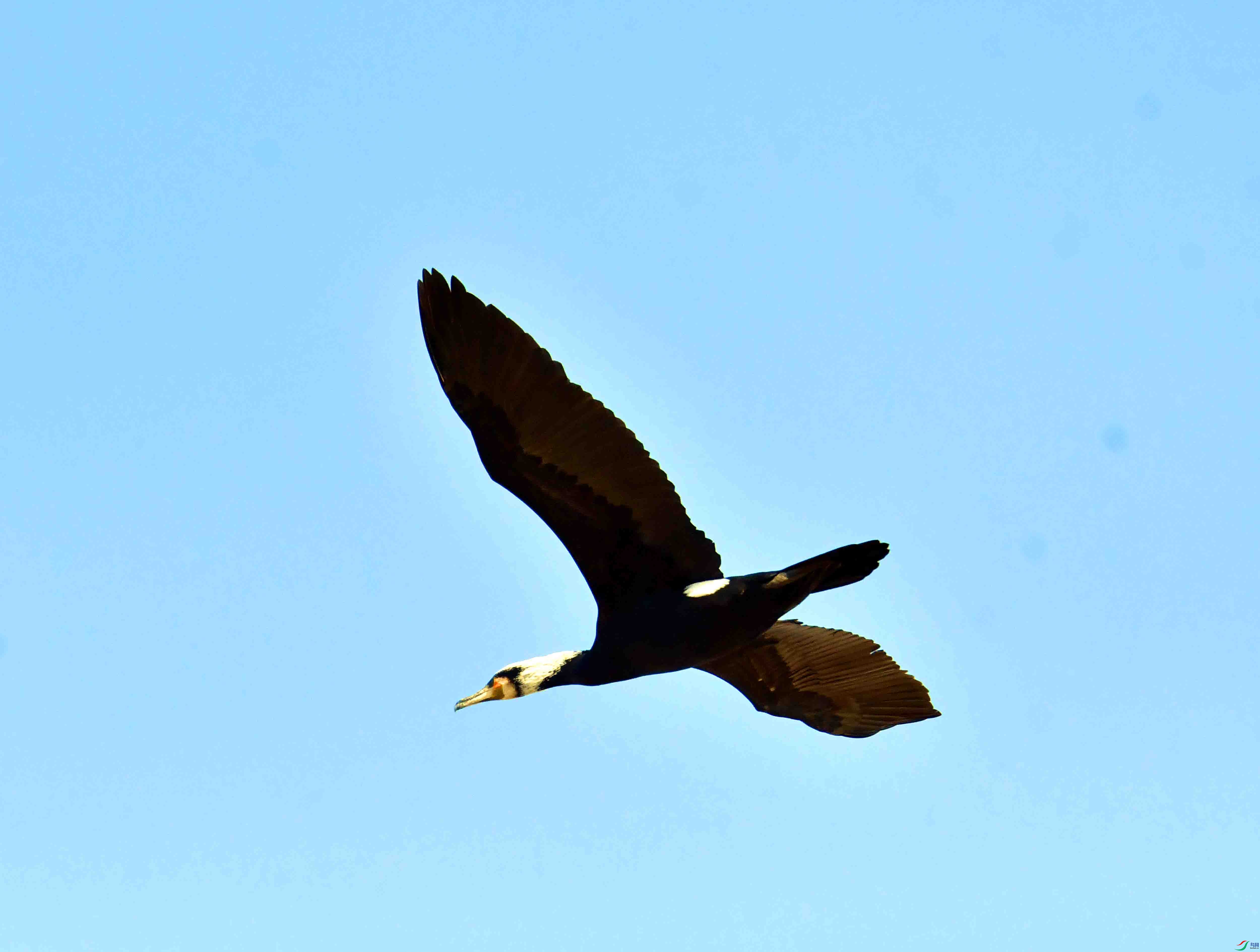 DSC_1587.JPG