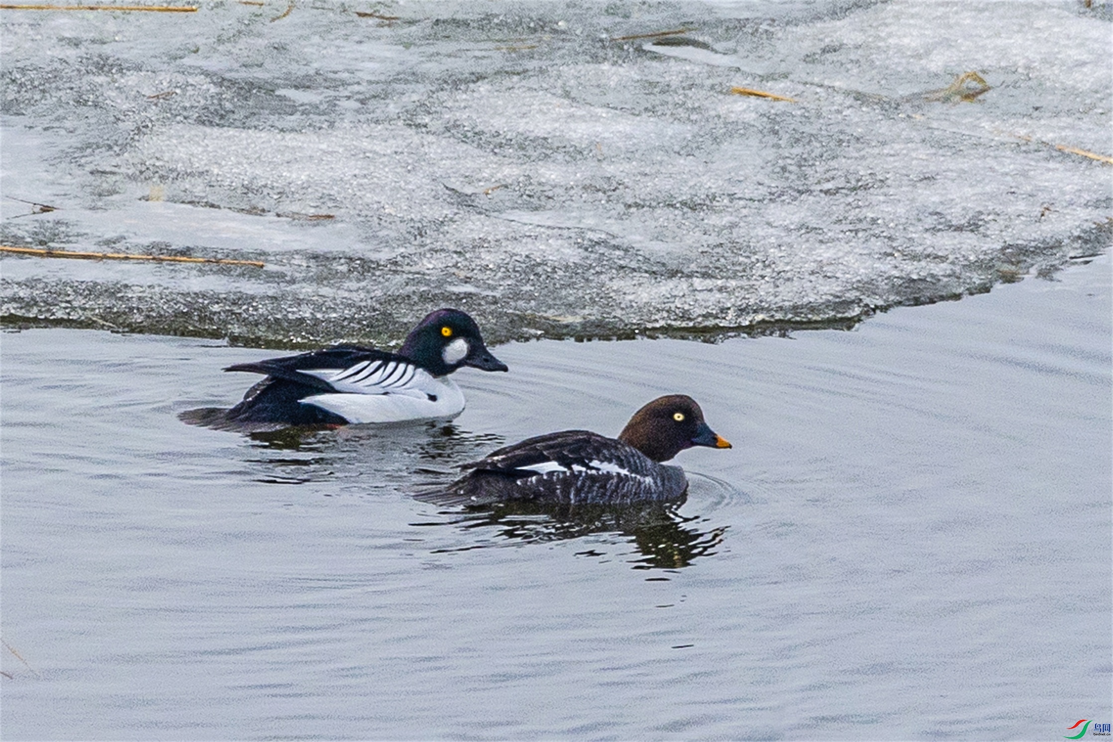 1K3A5395 ����1.jpg