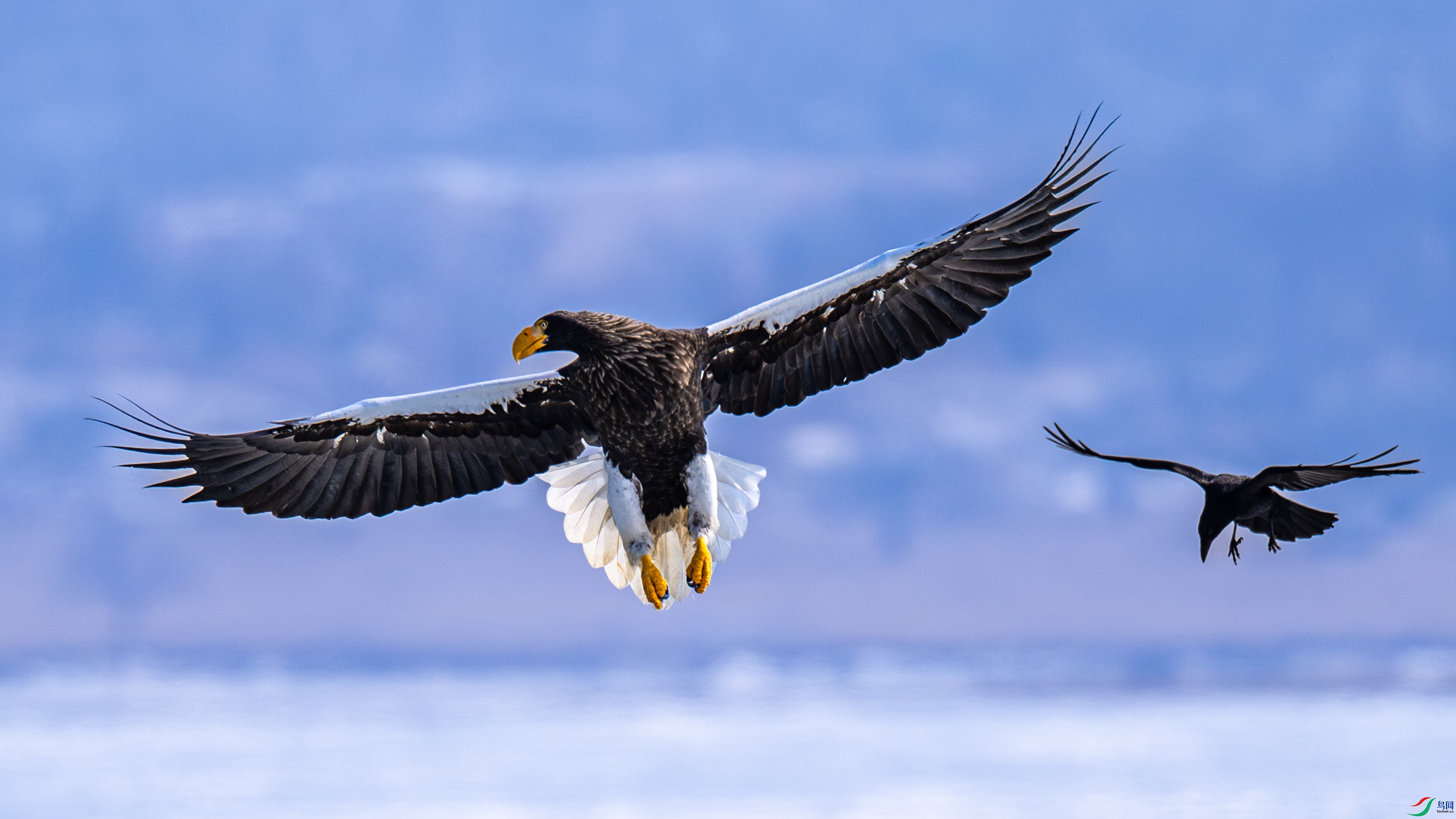 ��ͷ����