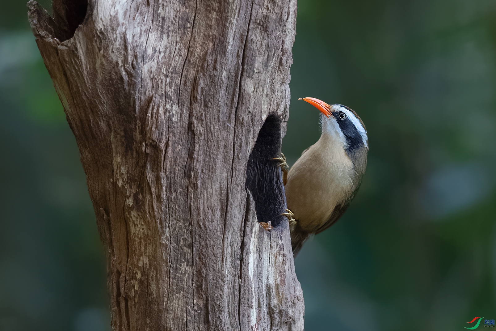 4DSC_3555_DxOa.jpg