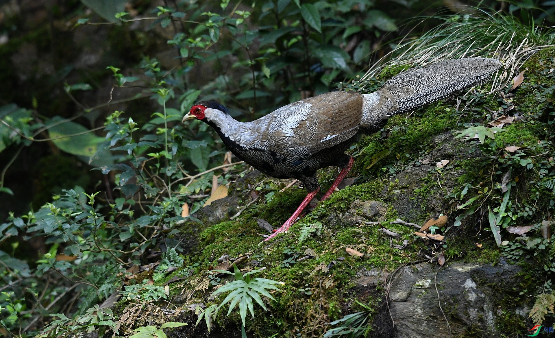DSC_0348.jpg