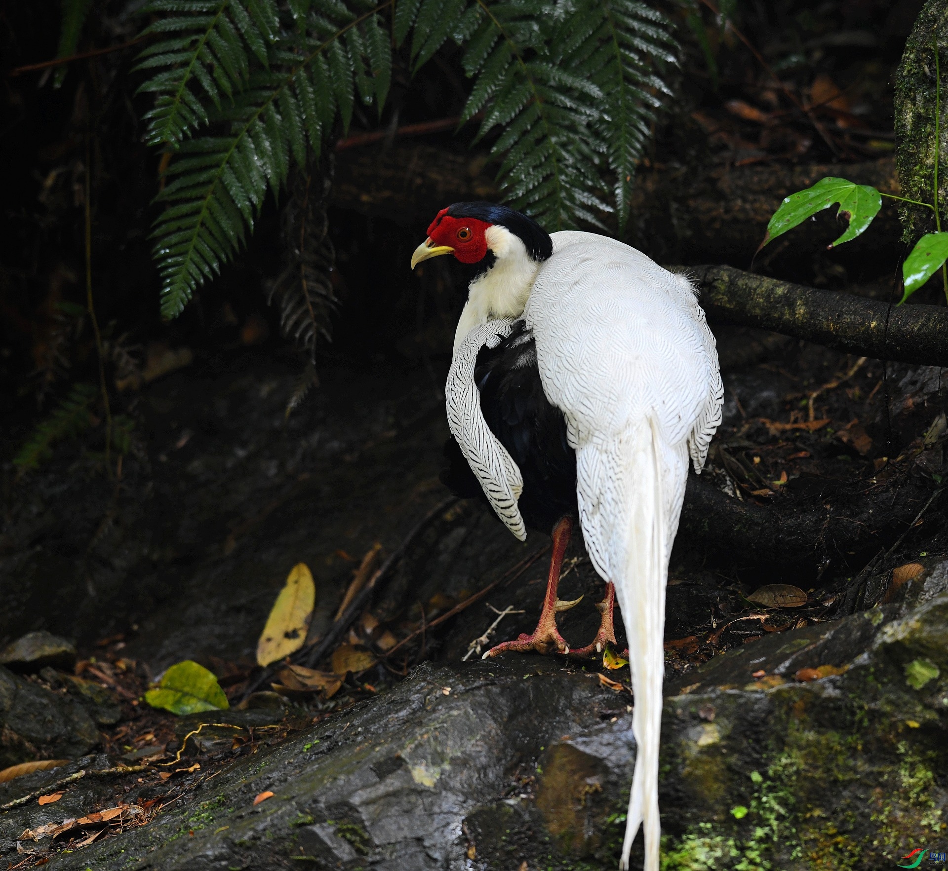 DSC_1435.jpg