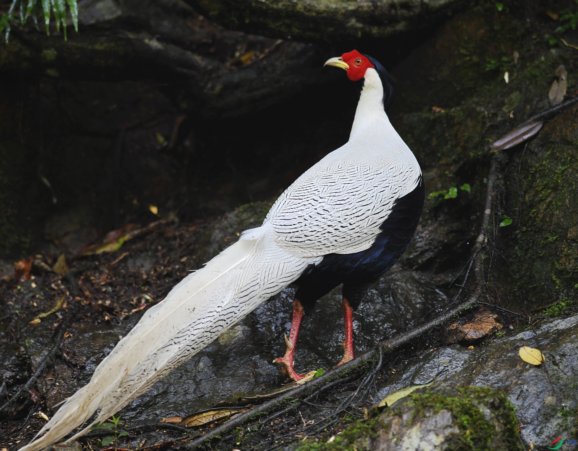DSC_1354.jpg