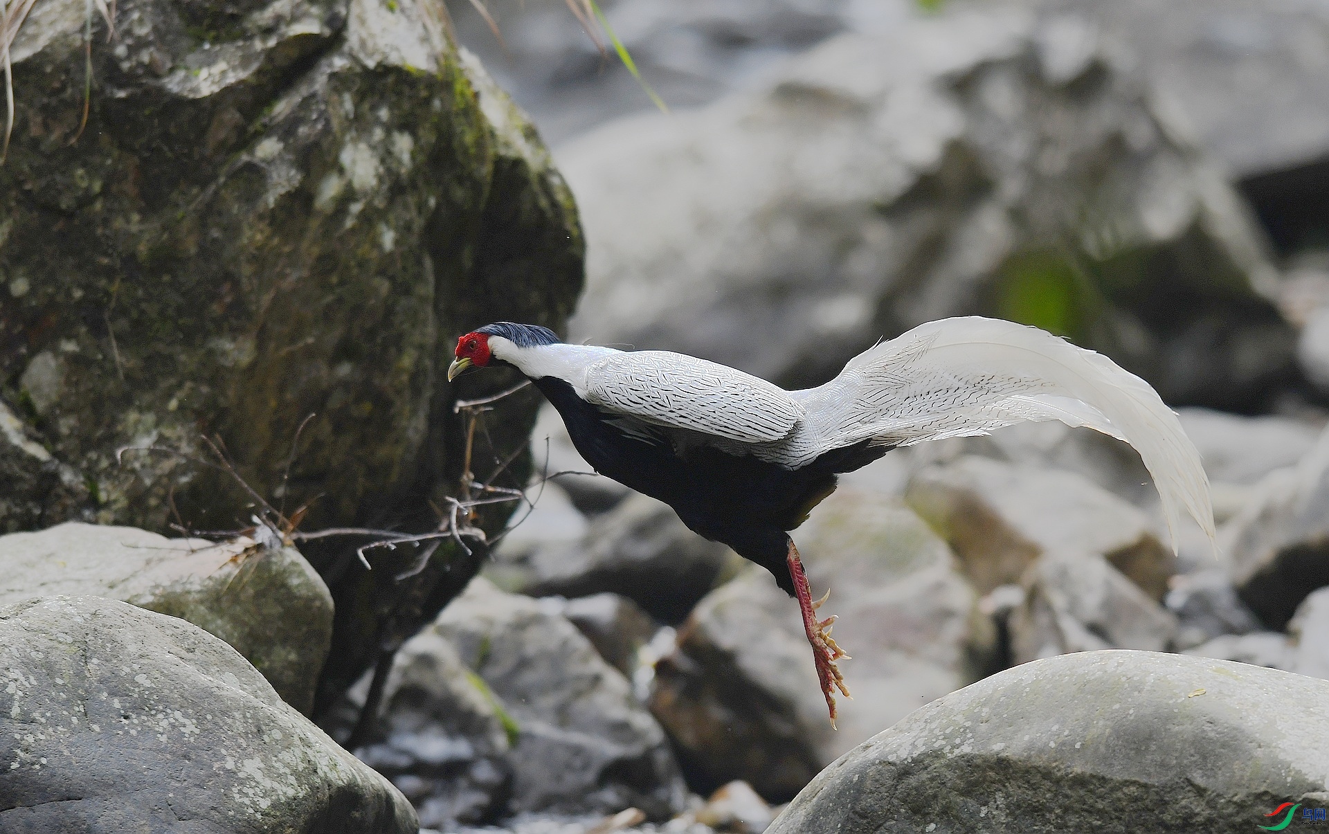 DSC_1503.jpg
