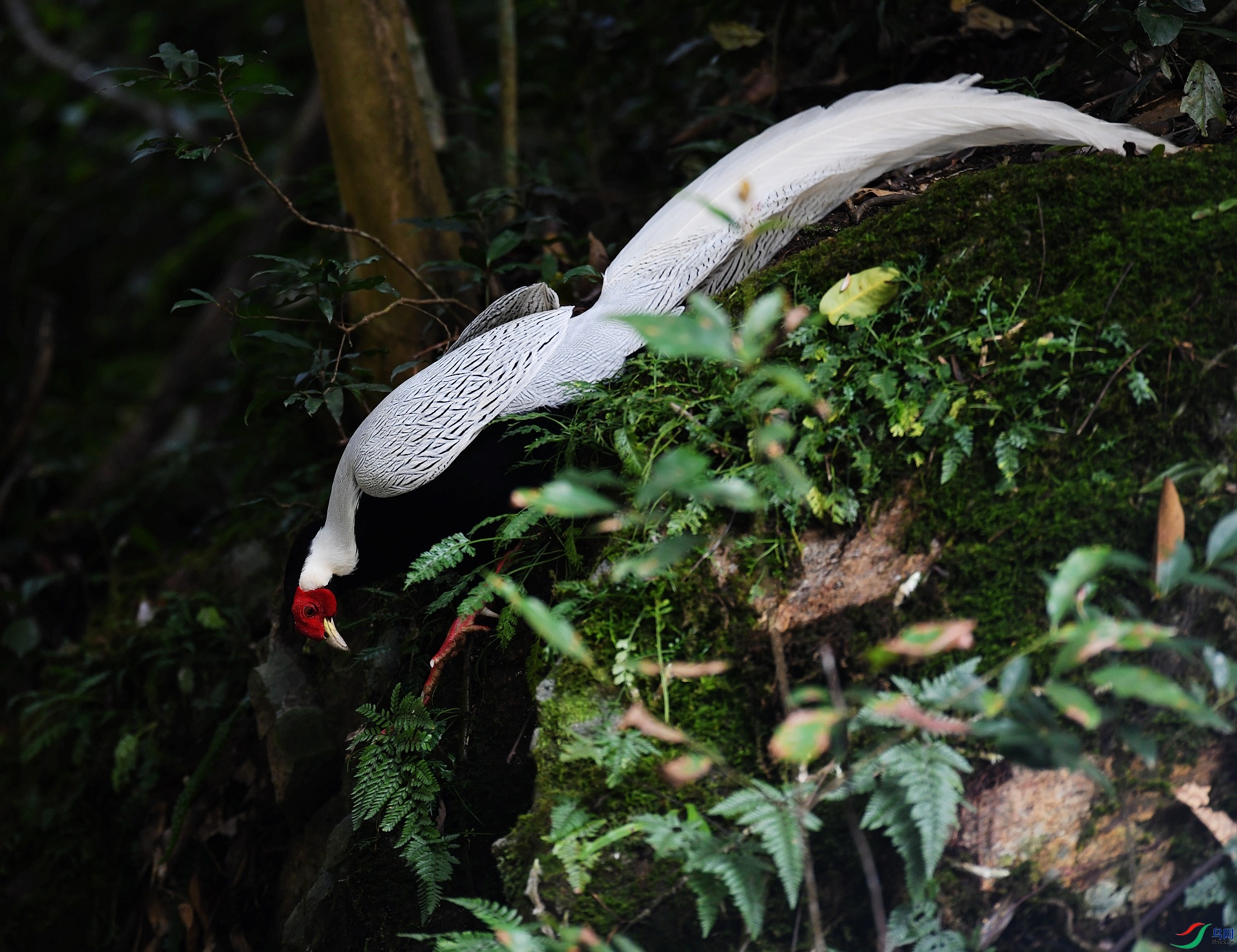DSC_4475.jpg