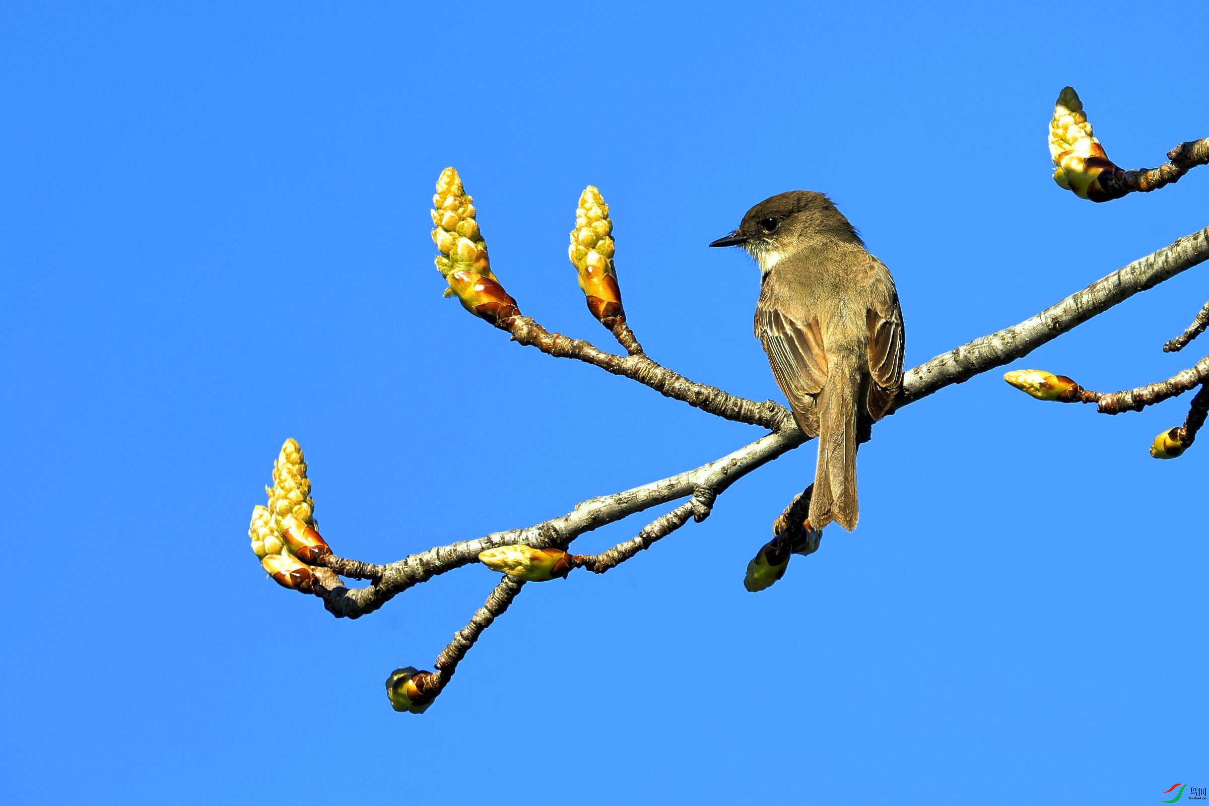 ���ƱȰ��l 01.jpg