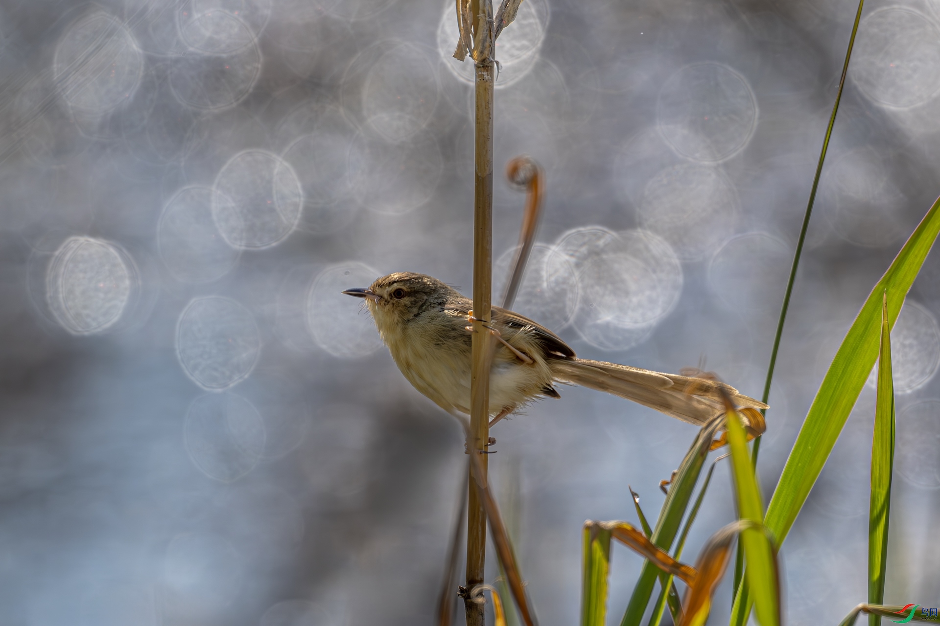 DSC_0902_����.jpg