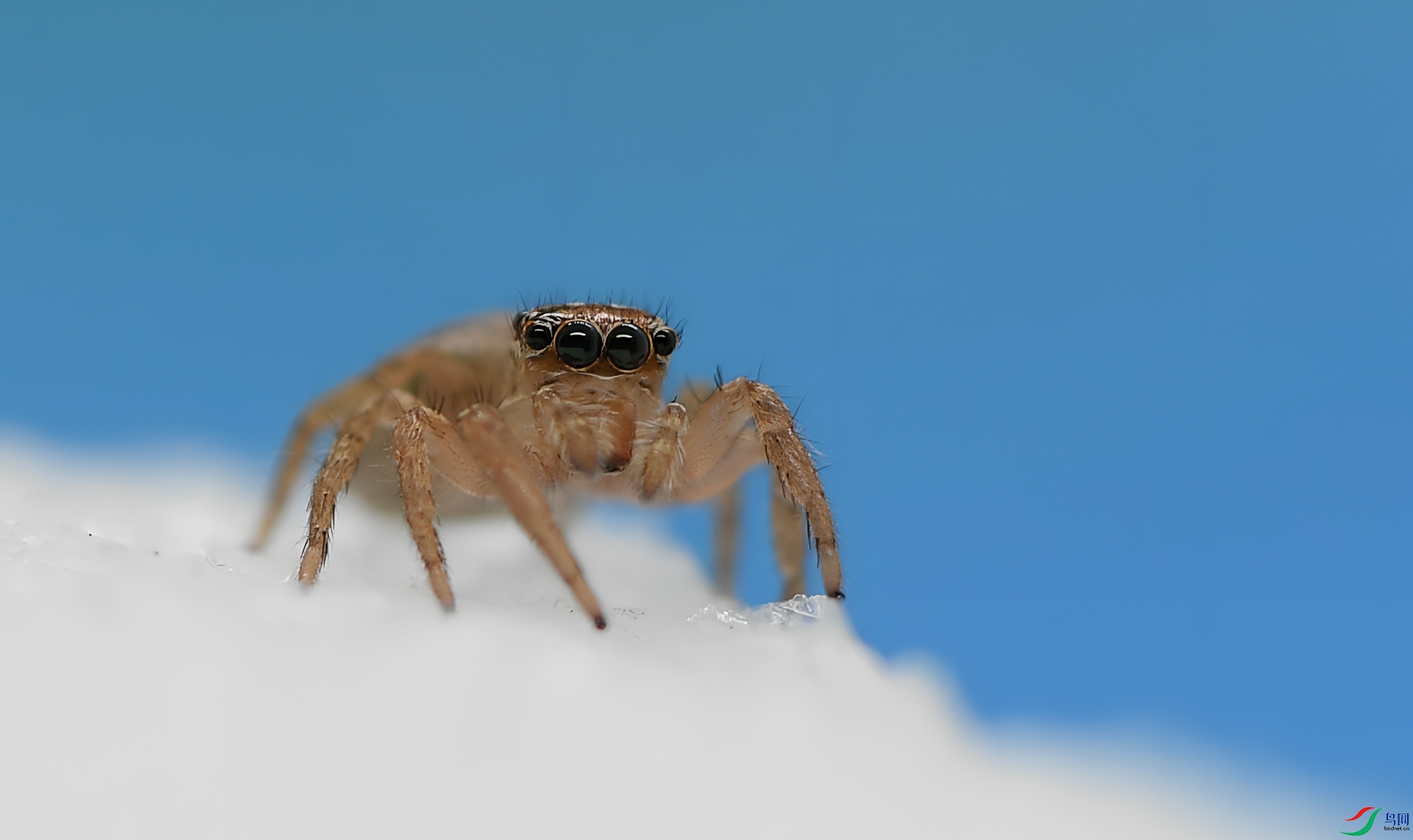 DSC_2579_����.jpg