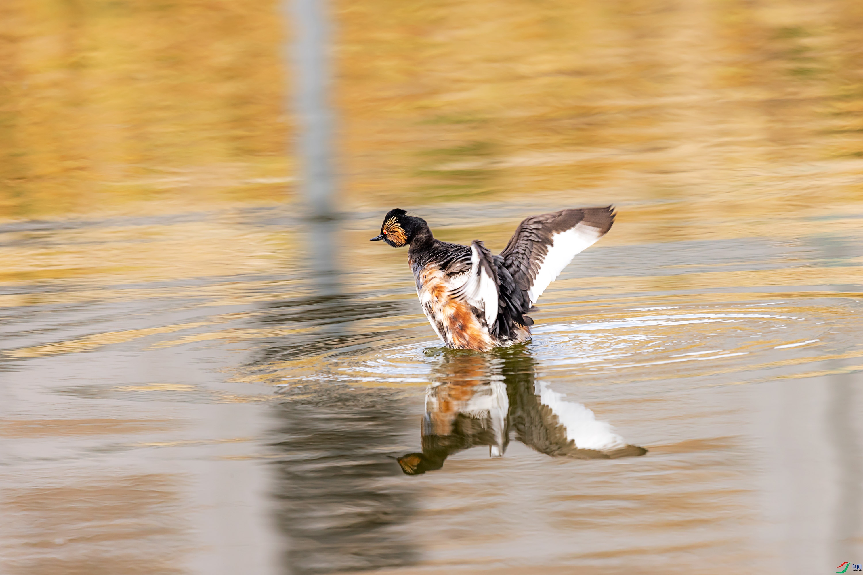 278A6840.jpg
