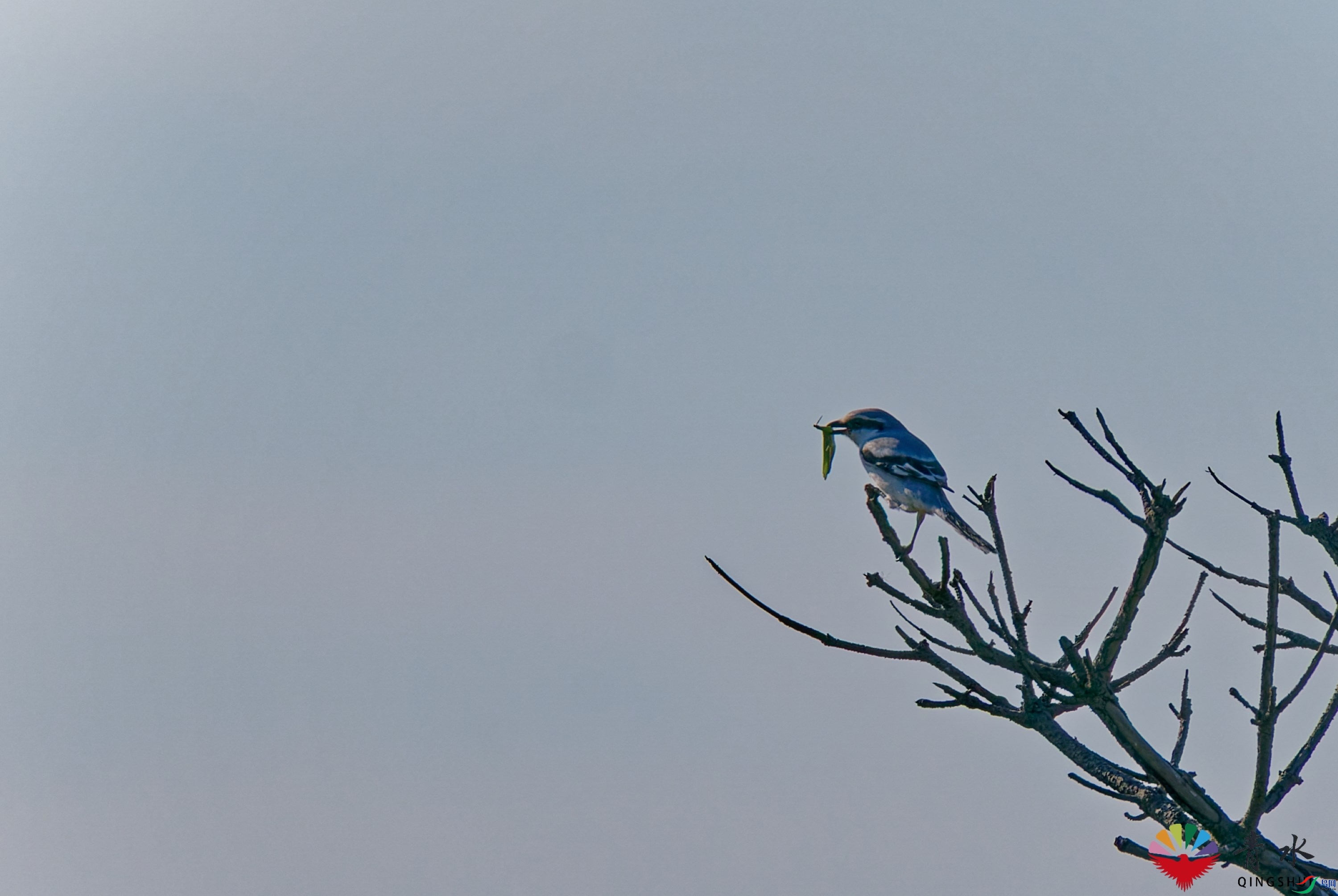 DSC04592_DxO.jpg