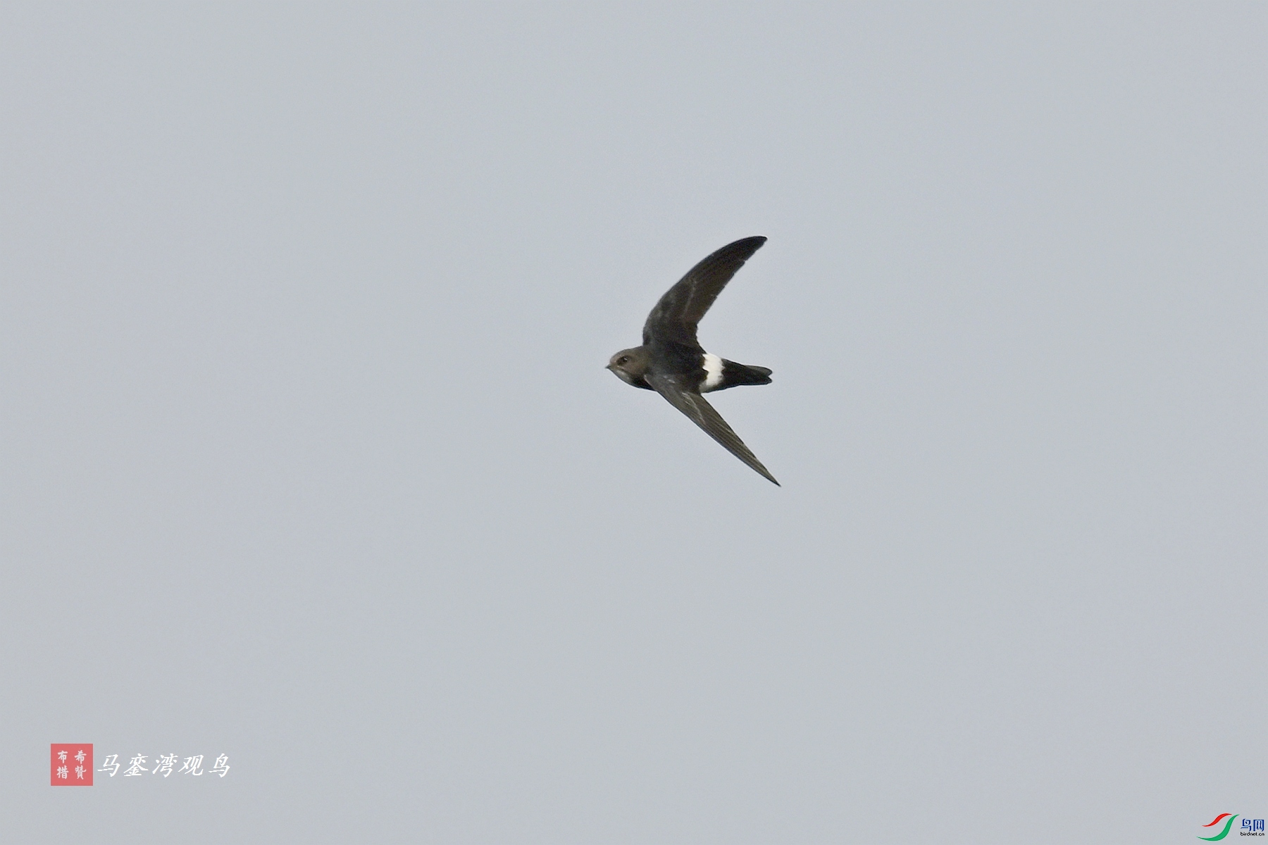 DSC_8029.JPG