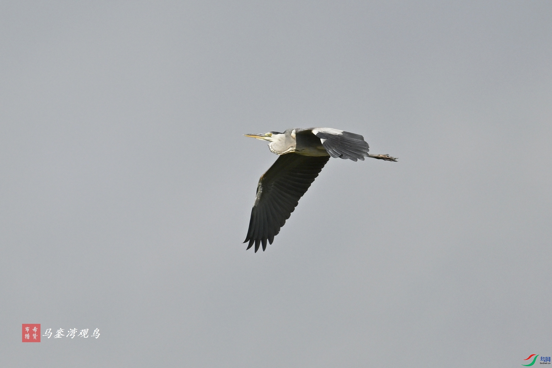 DSC_8039.JPG