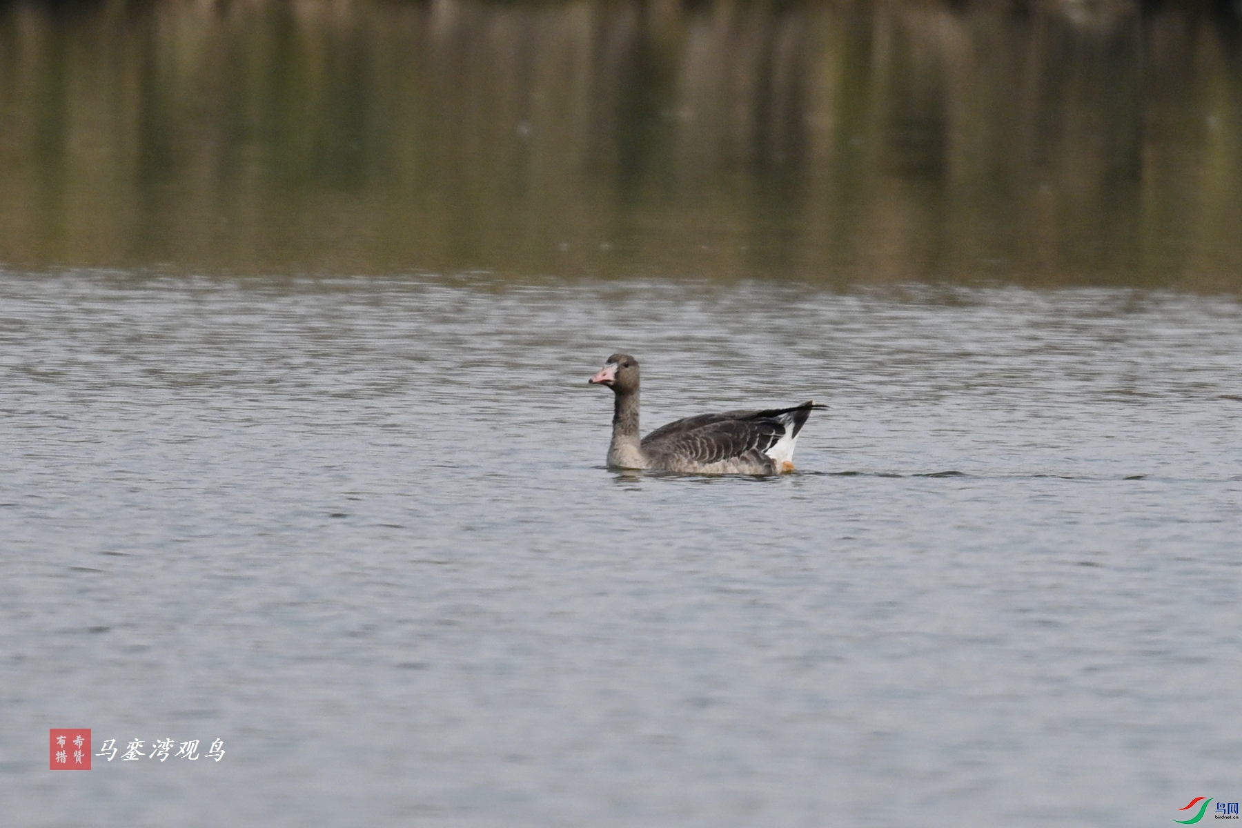 DSC_8056.JPG