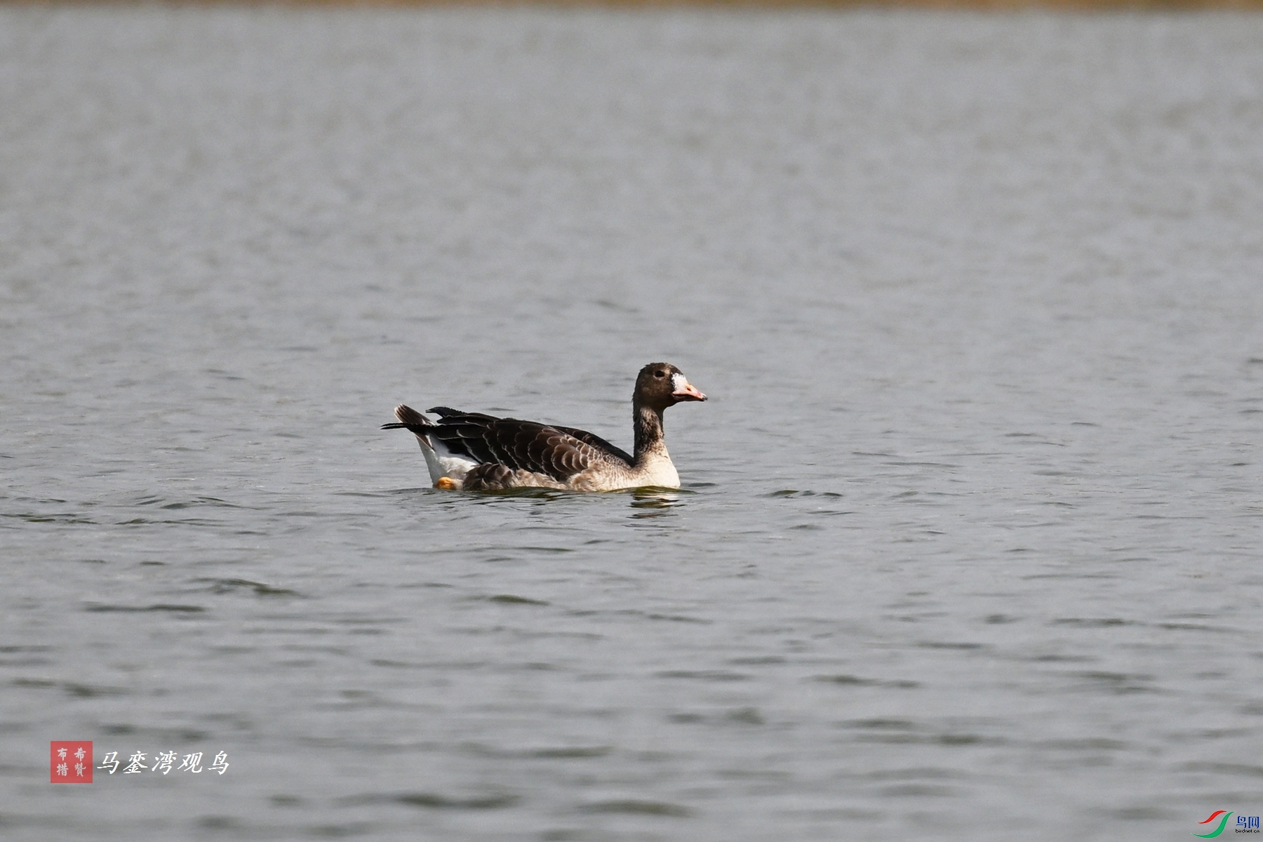 DSC_8080.JPG
