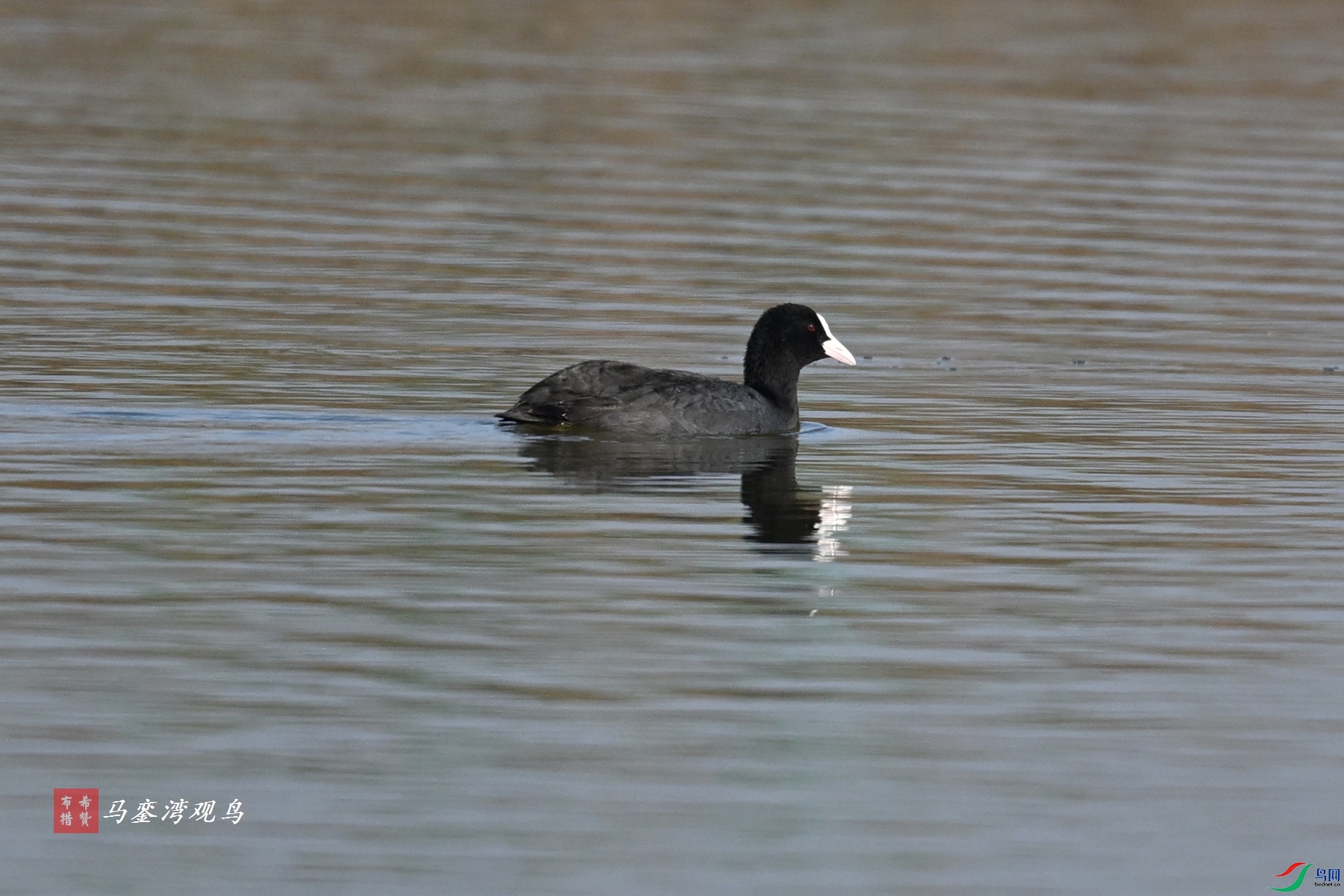 DSC_7991.JPG