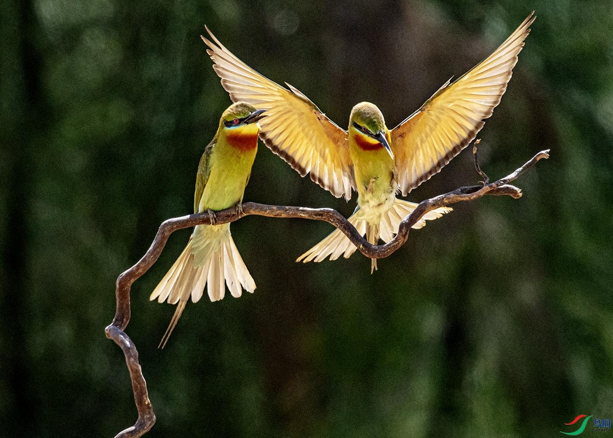 DSC_7606.jpg
