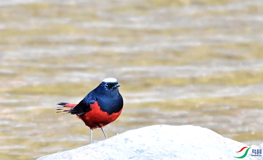 DSC_8161.JPG