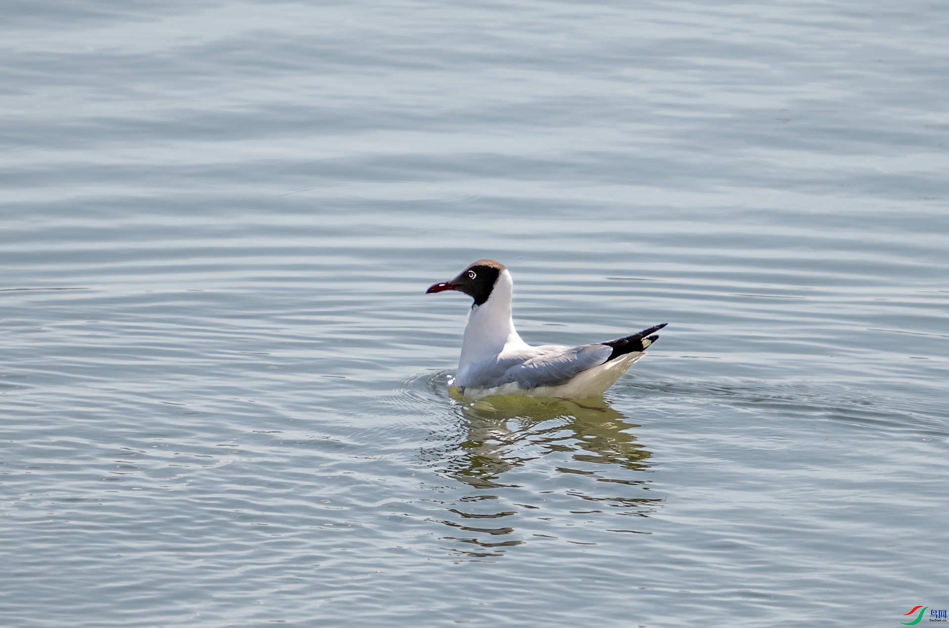 DSC_3831.jpg