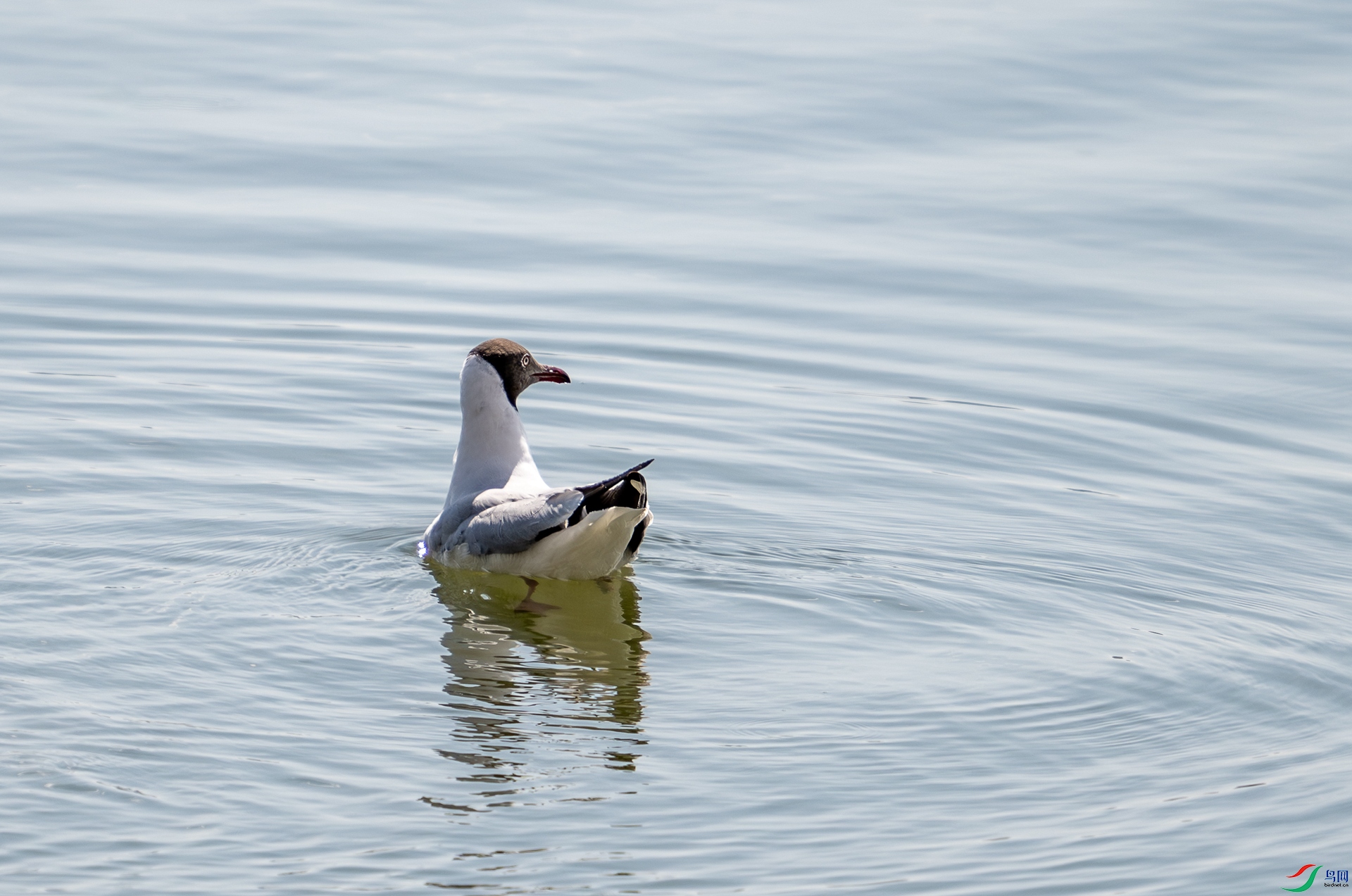 DSC_3822.jpg