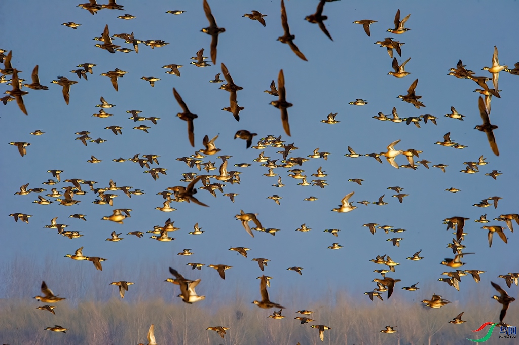 DSC_9283 ����_����.jpg