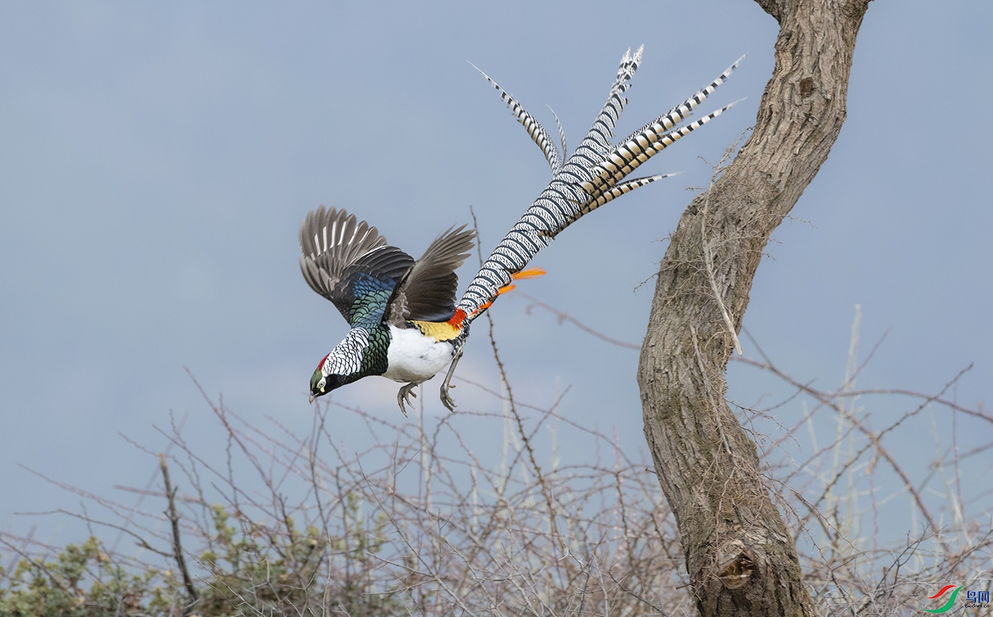 DSC_6927.jpg